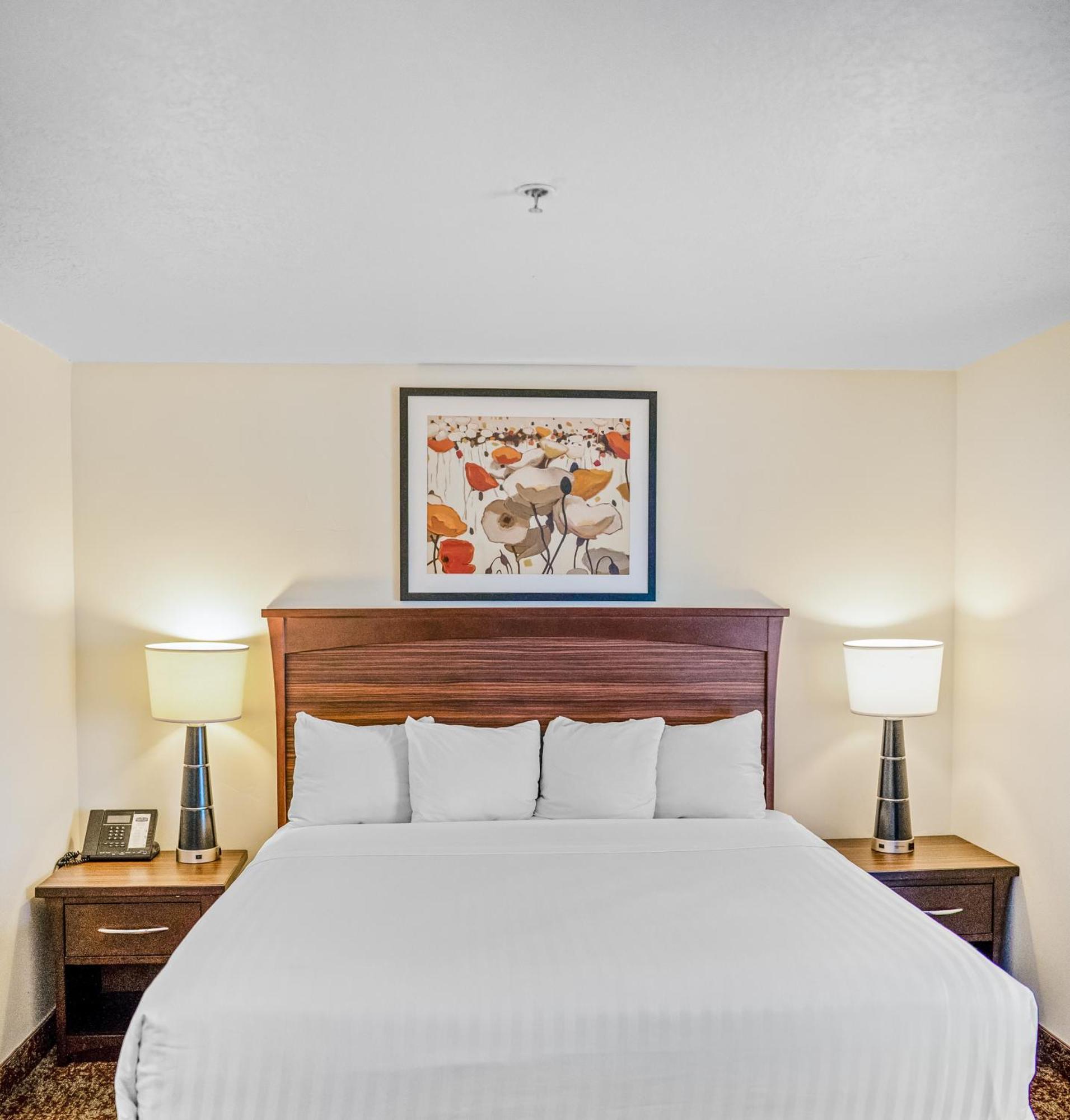 Studio 1 King Bed Non Smoking