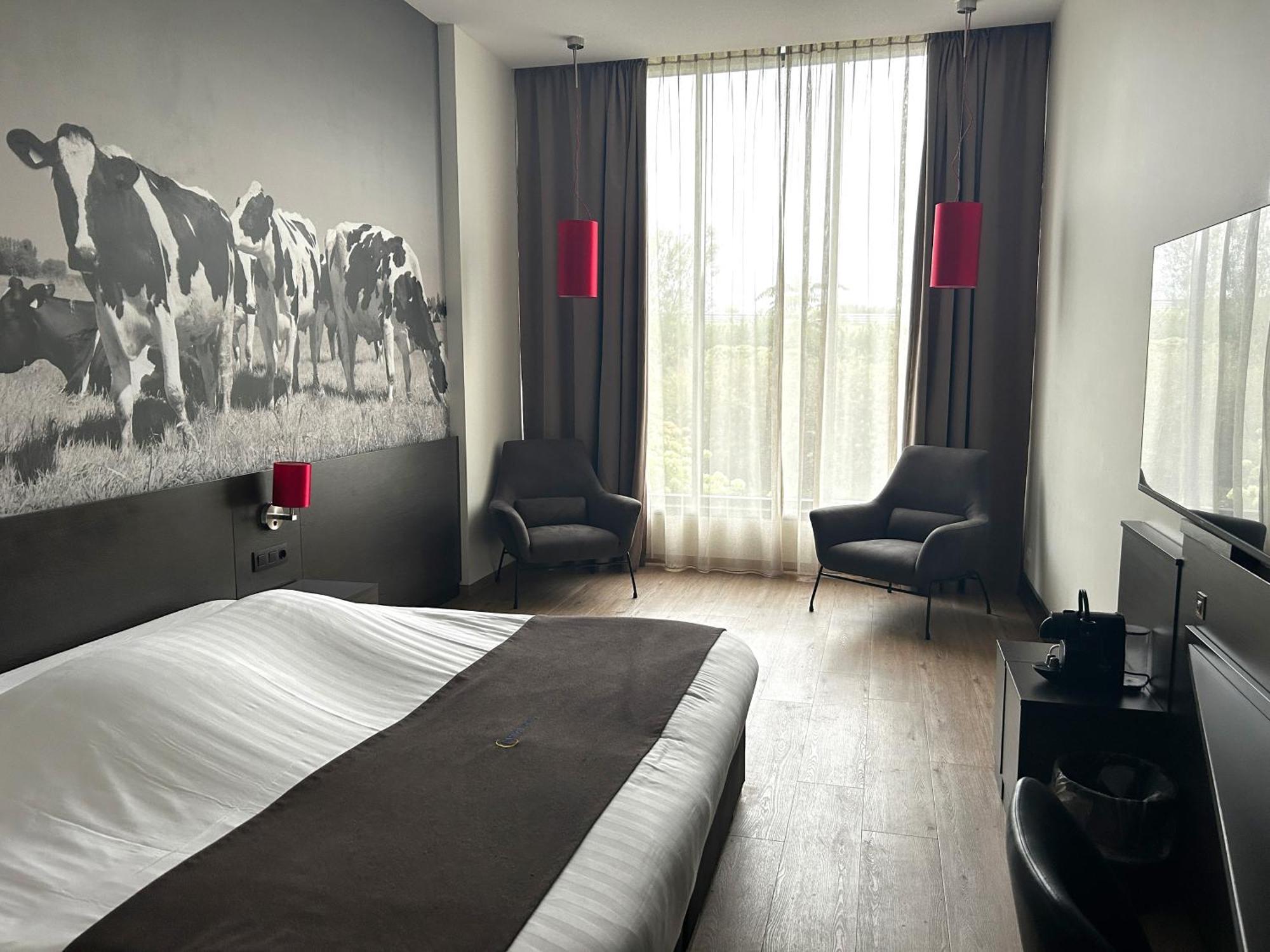 Deluxe King Suite