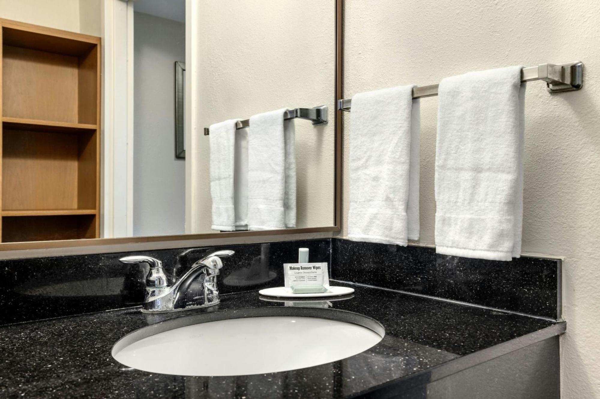 King Room Transfer Shower Roll Shower Mobility Access or Hearing Accessible