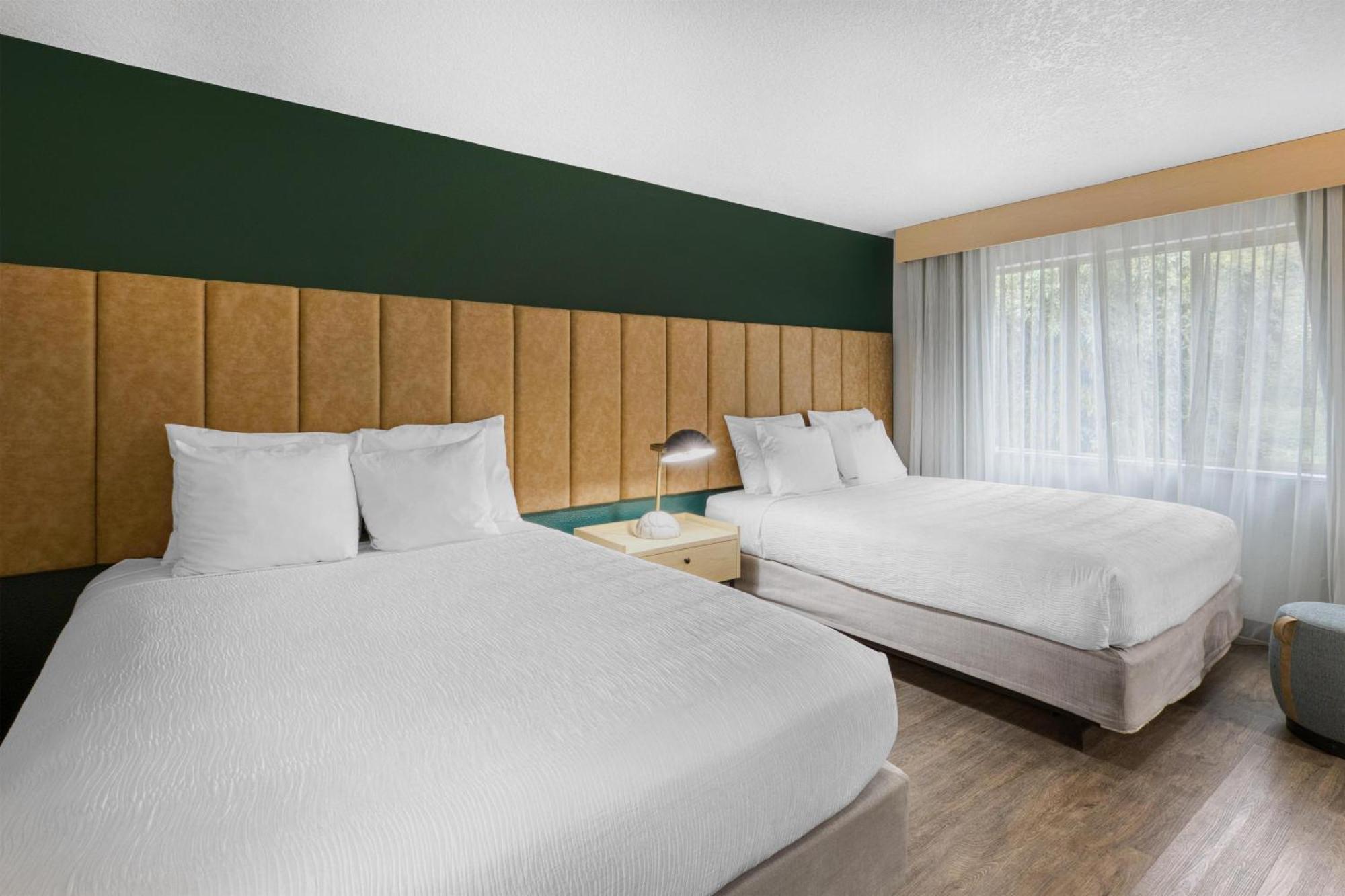 Queen Room Two Queen Beds Walk Shower Disability Access or Non-Smoking,1722949464:JPEG