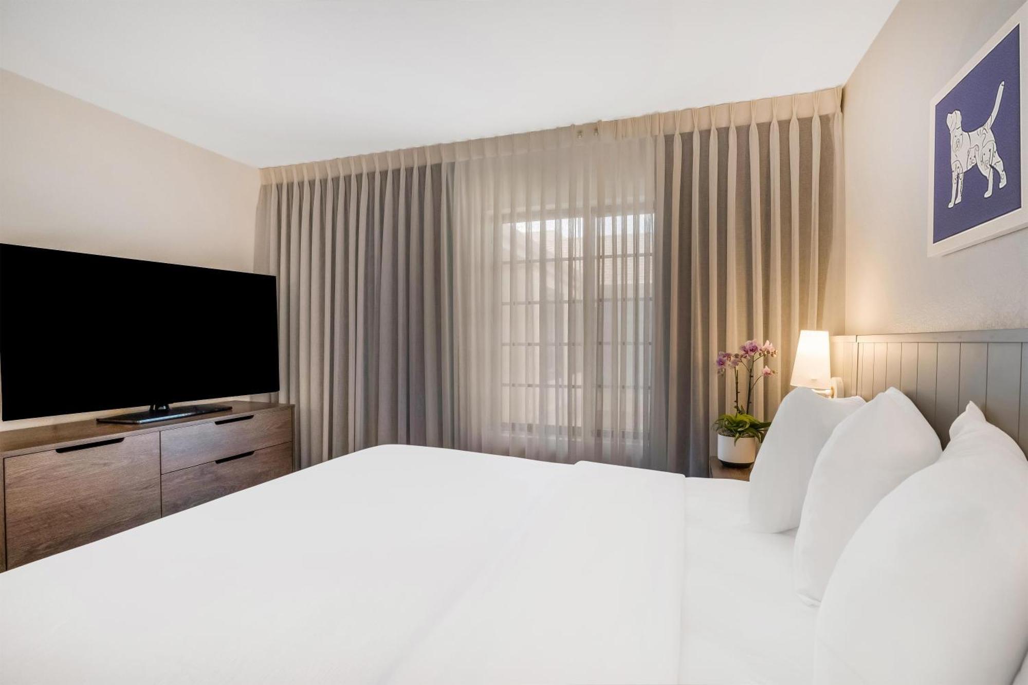 One-Bedroom King Suite