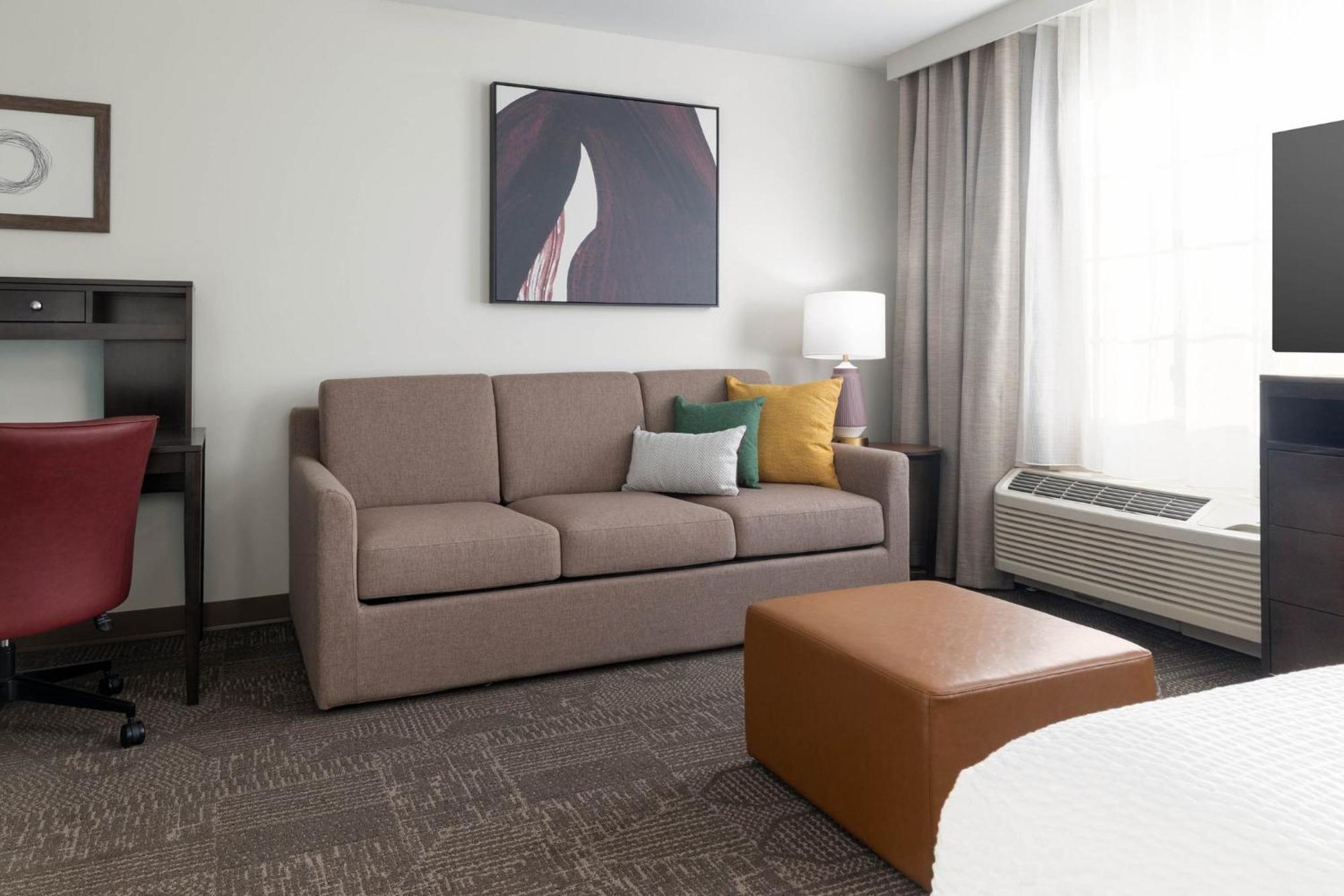 King Studio Suite Sofa Bed