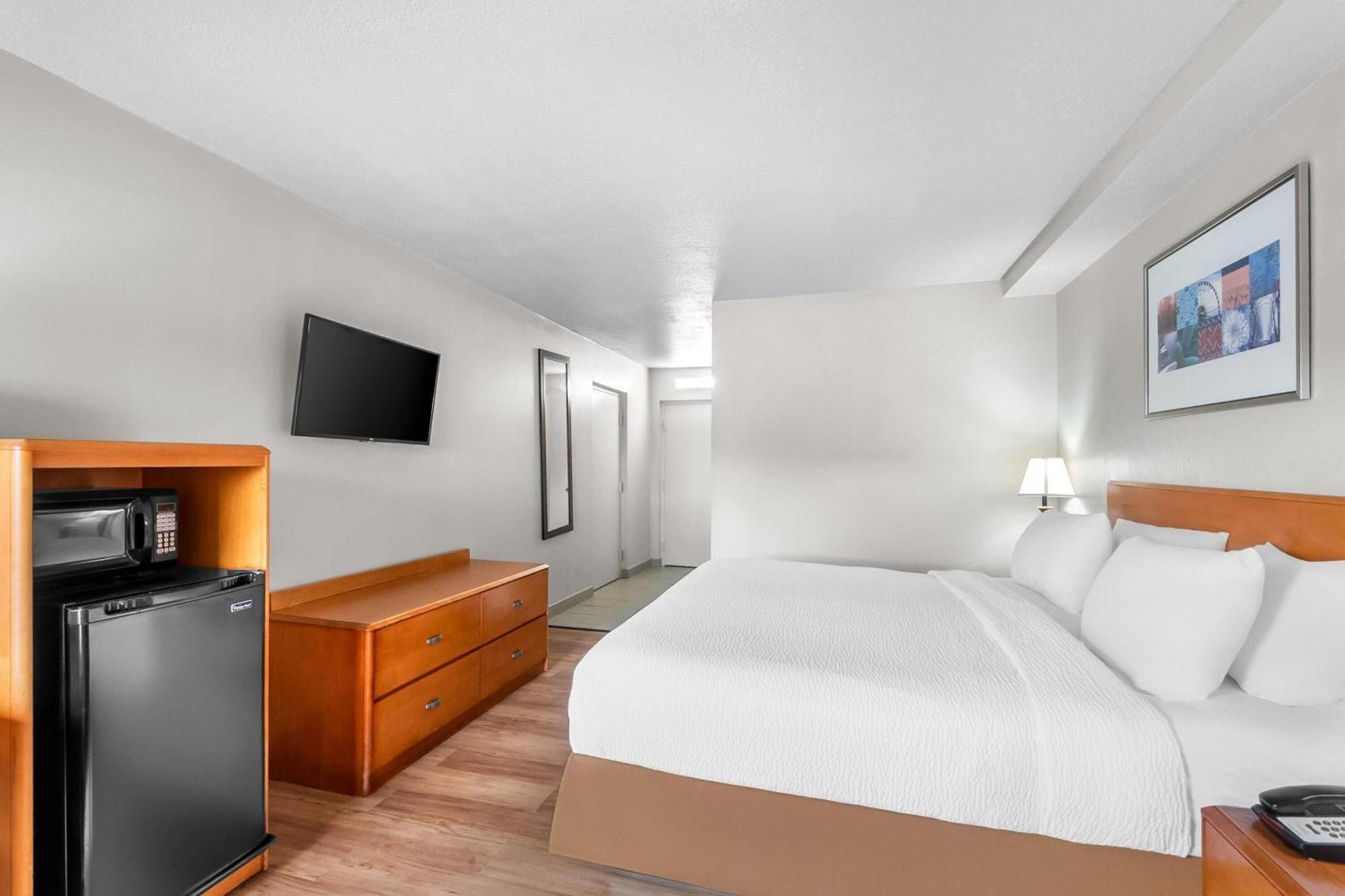 King Room Walk Shower Grab Bars Mobility Accessible or Non-Smoking