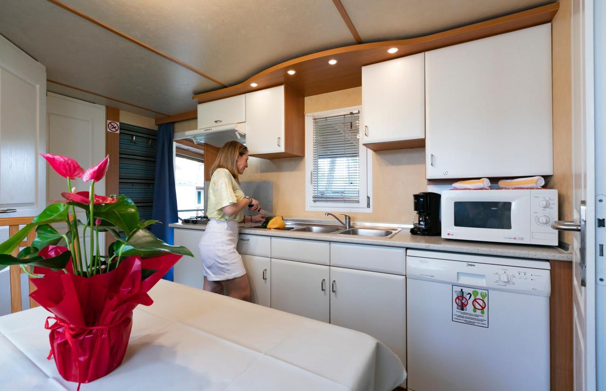 Deluxe Mobile Home