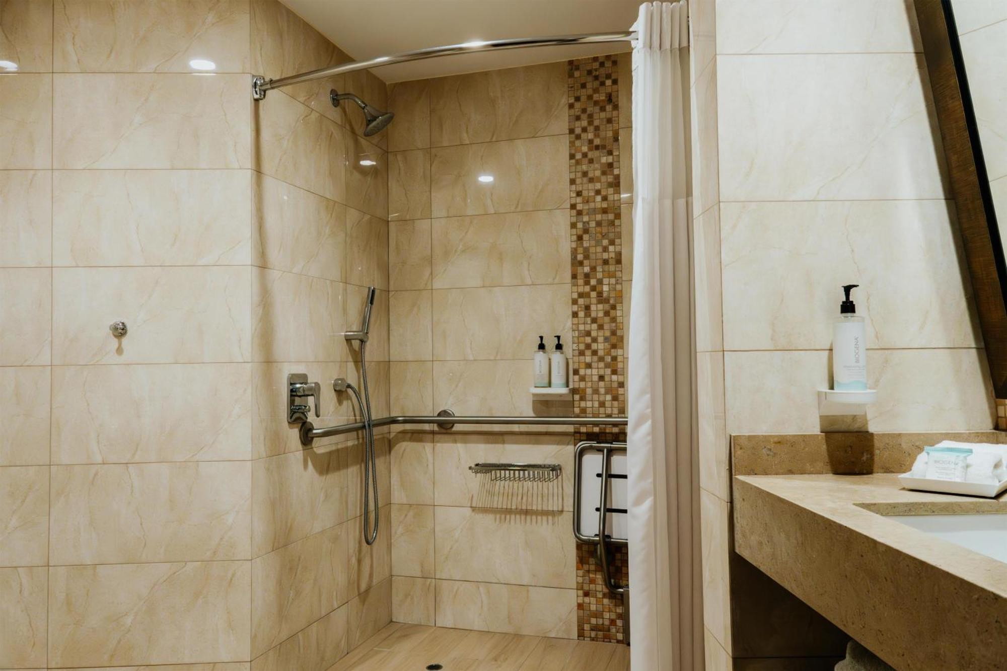 King Room Roll Shower Mobility Access