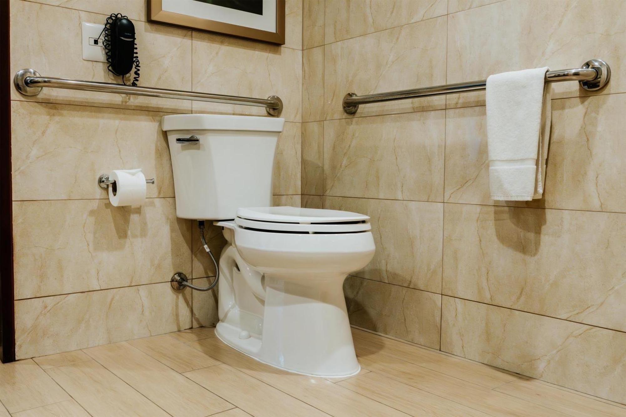 King Room Roll Shower Mobility Access