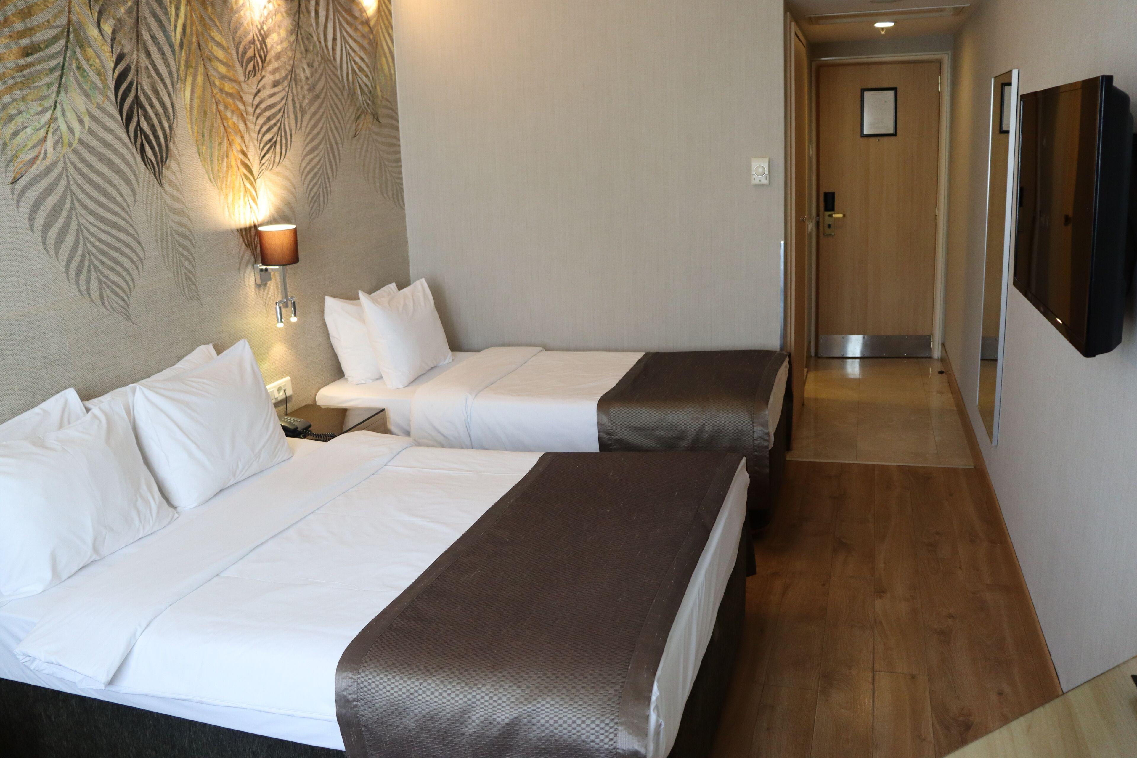 Triple Room,1756505347:JPEG