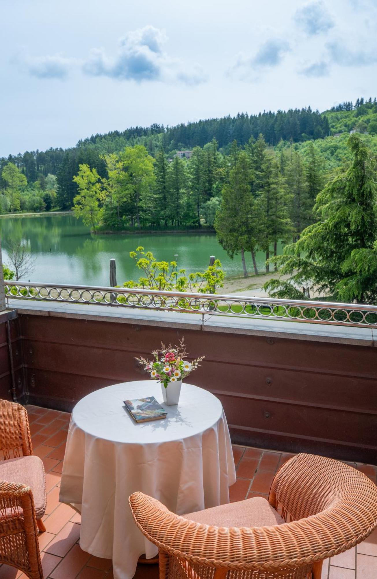 Superior Double or Twin Room Lake View