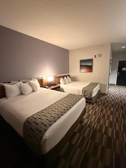 Queen Room Two Queen Beds Mobility or Hearing Access Non-Smoking