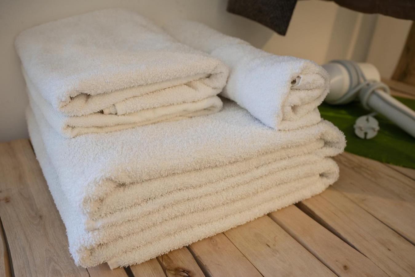 Deluxe Double Room Shower