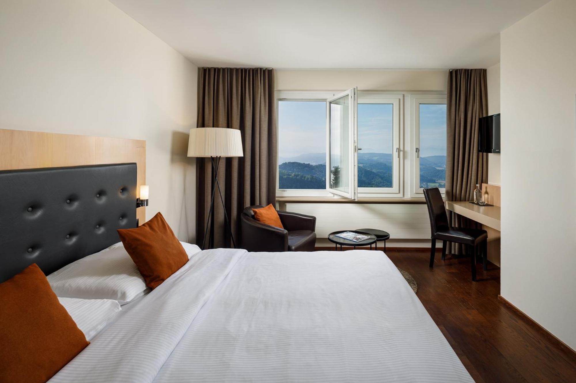 Panorama Room Mountain Lake View