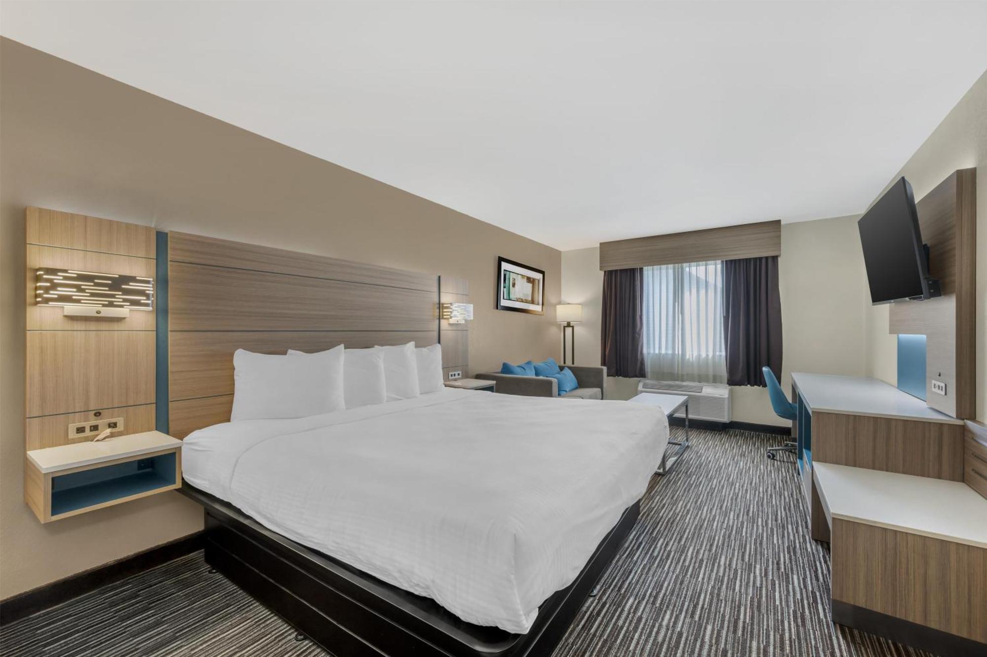 King Room Sofa Bed Pet Friendly or Non-Smoking