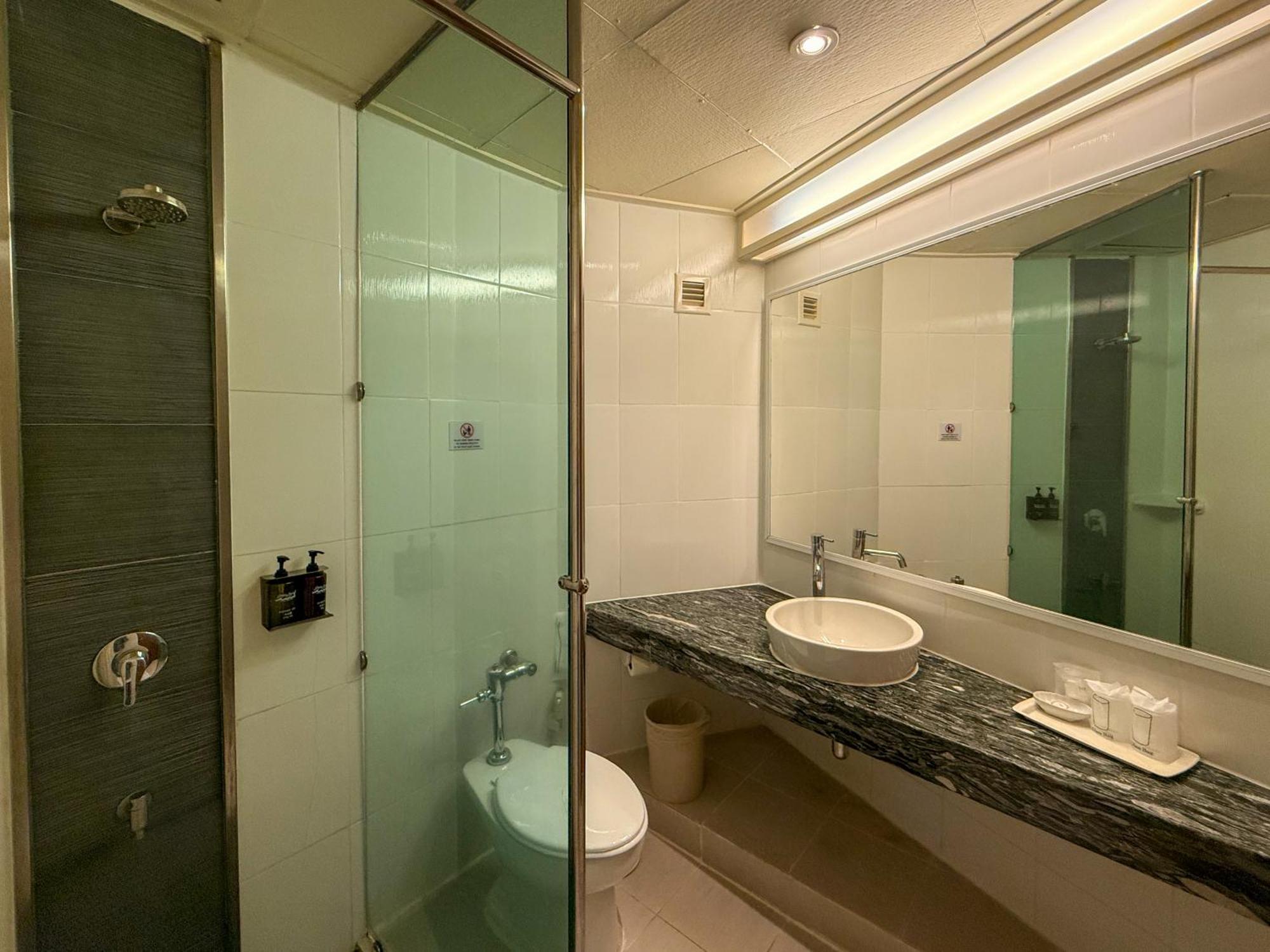 Superior Double or Twin Room