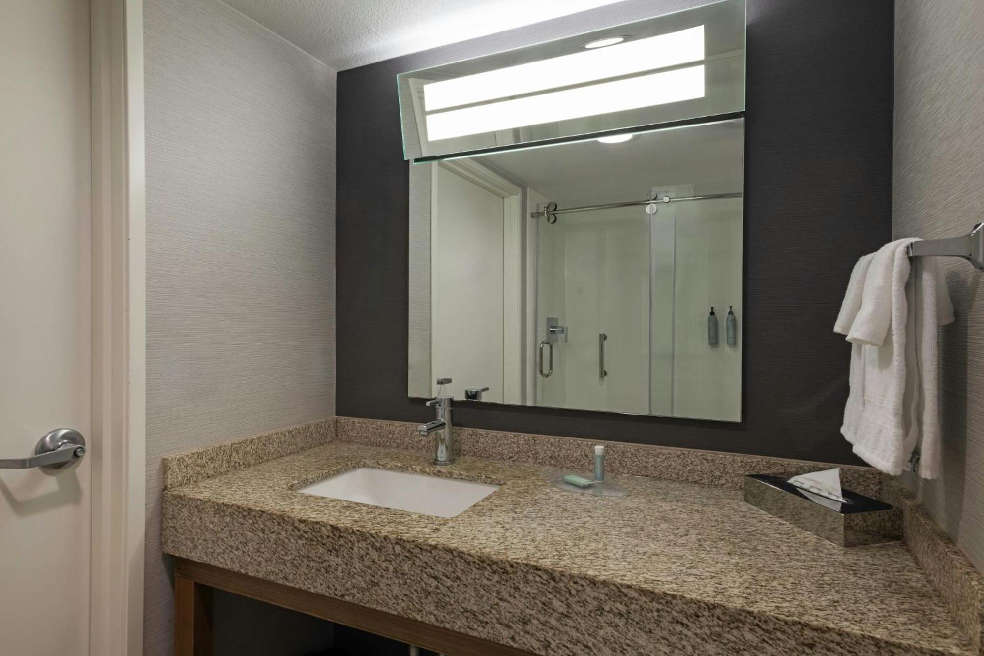 King Room Transfer Shower Mobility Access