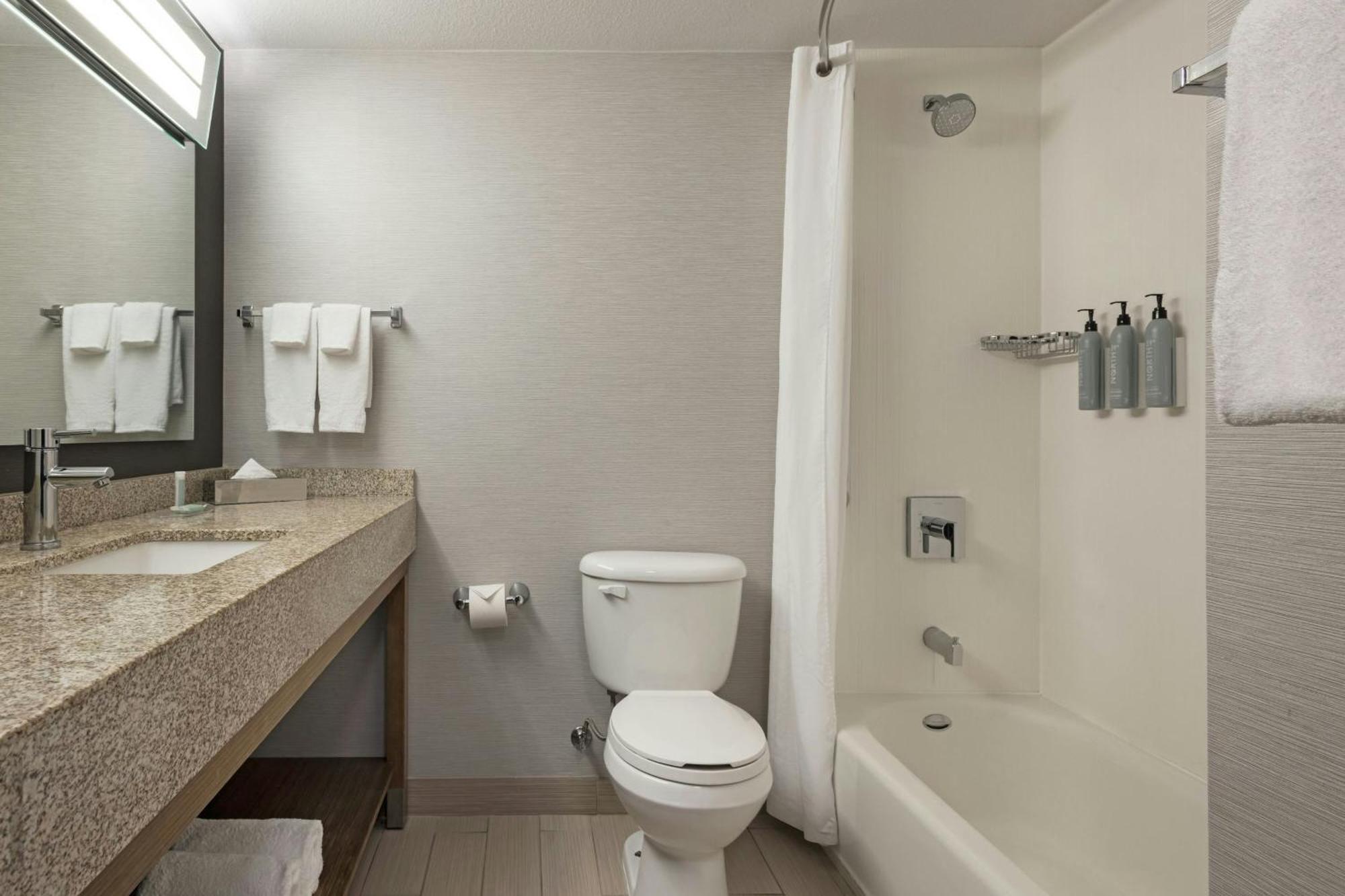 King Room Transfer Shower Mobility Access