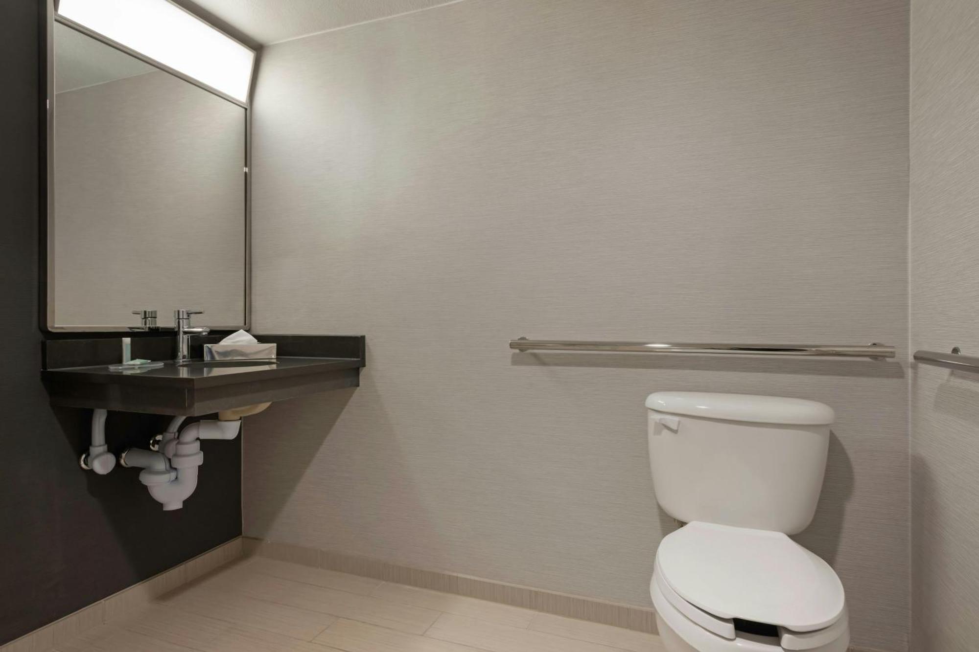 King Room Transfer Shower Mobility Access