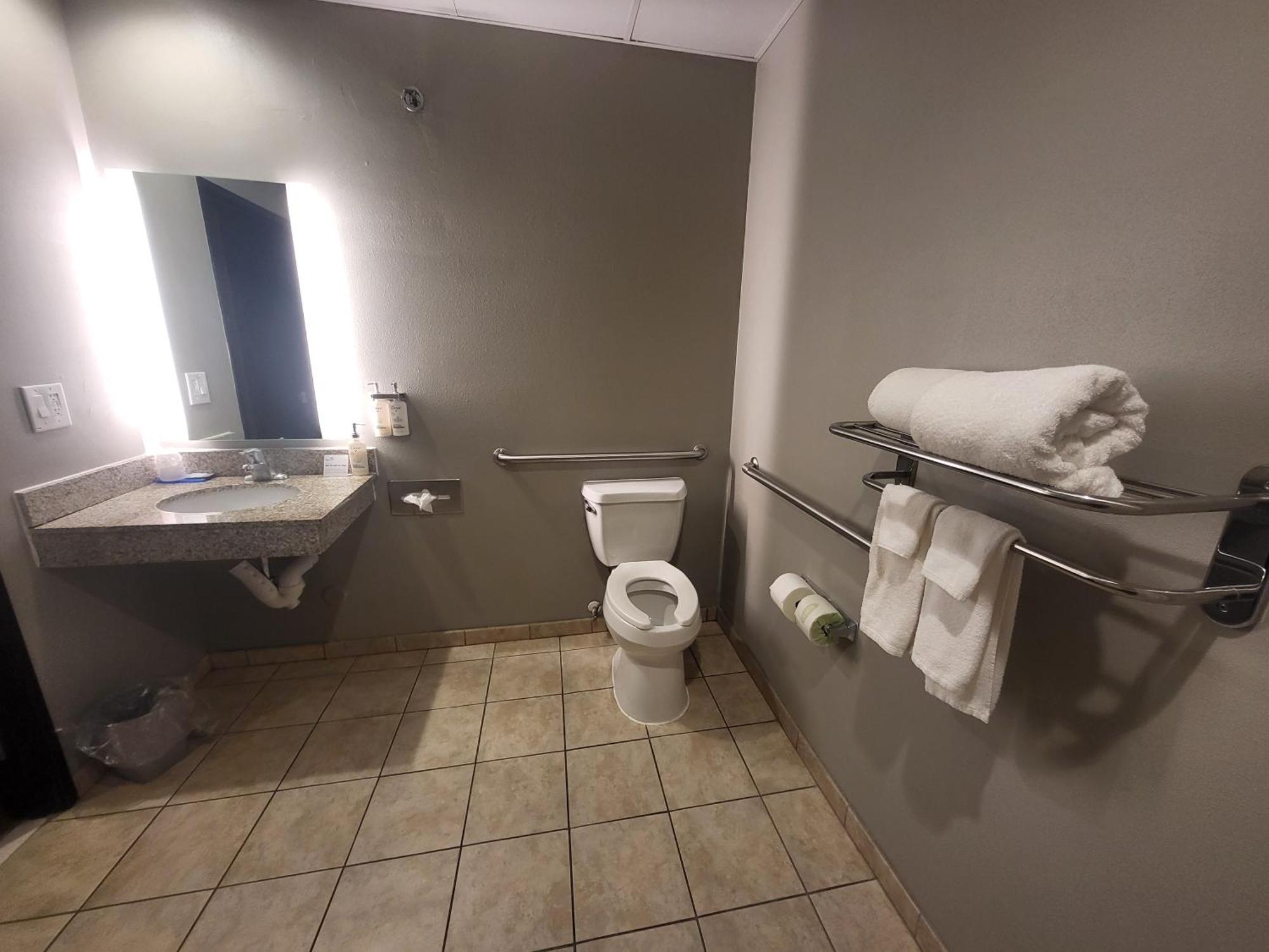 King Room Roll Shower Disability Access or Non Smoking