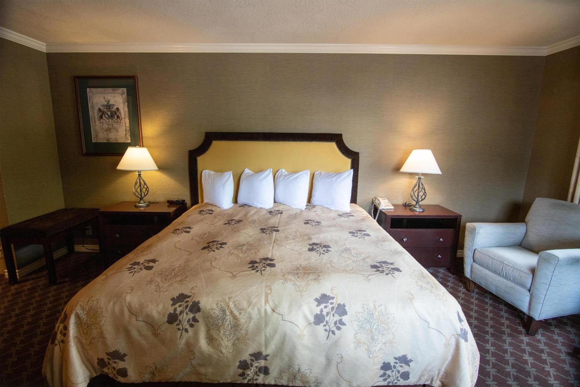 Deluxe King Room Pet-Friendly