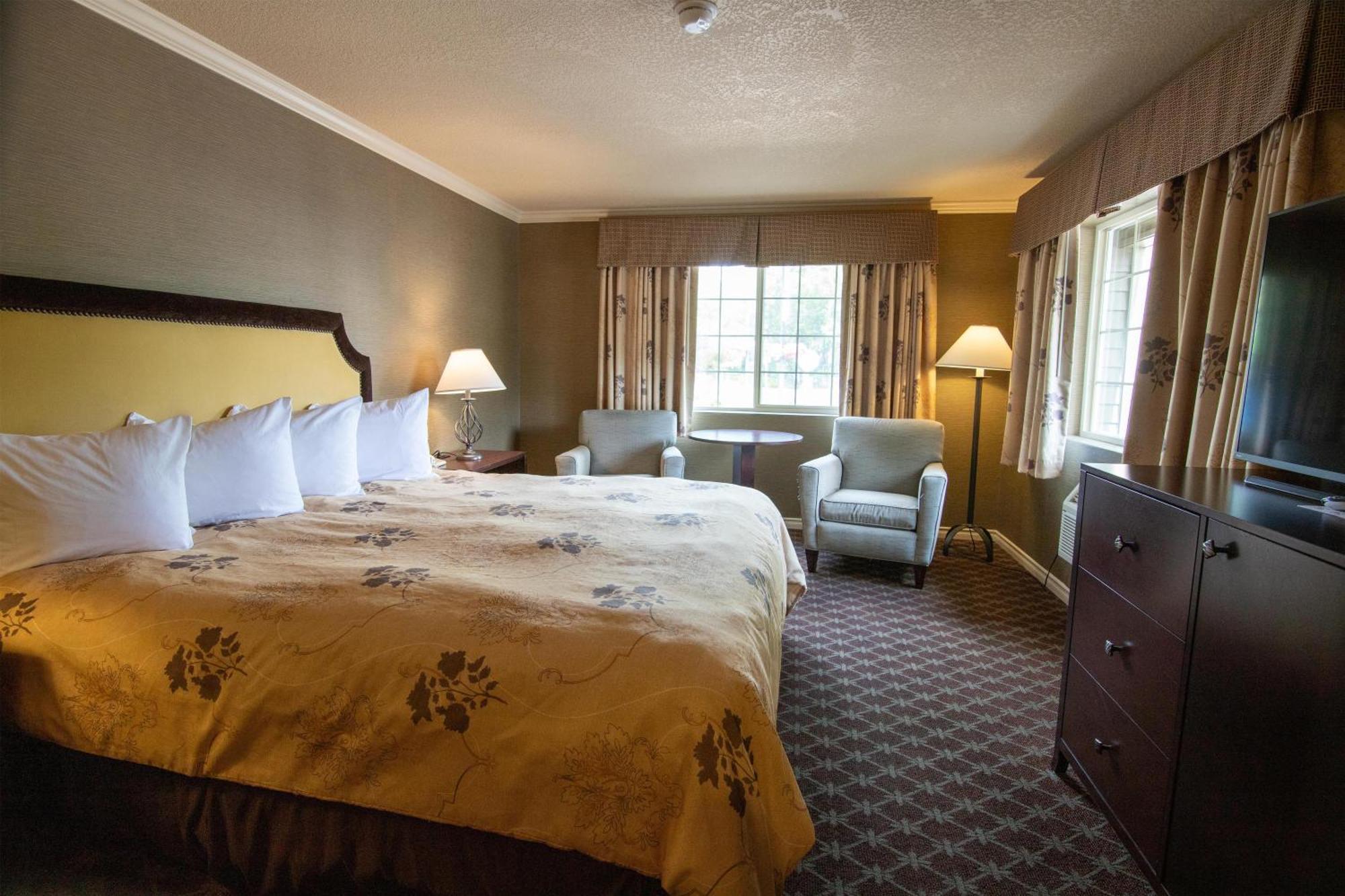 Deluxe King Room Pet-Friendly