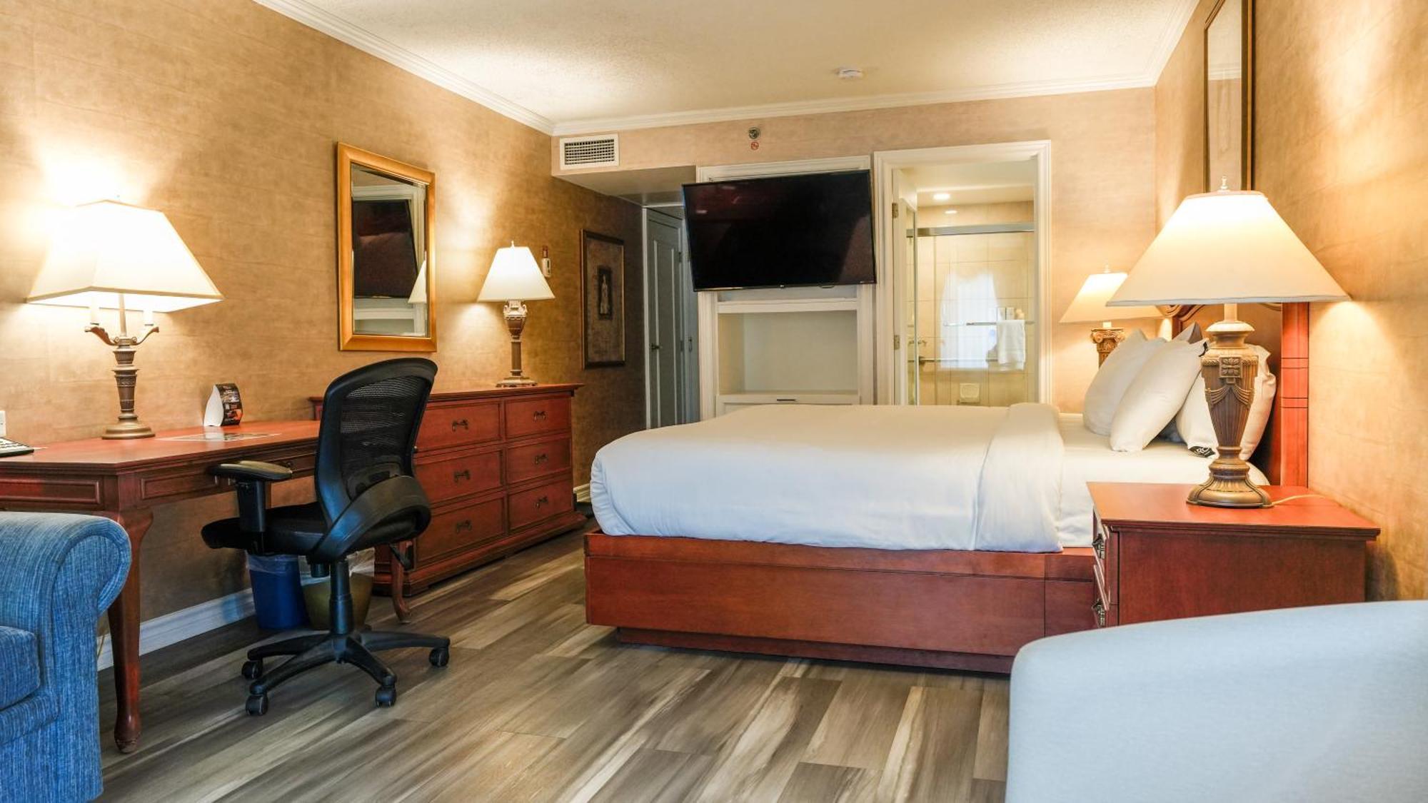 Signature Room 1 King Bed Sofa-Bed