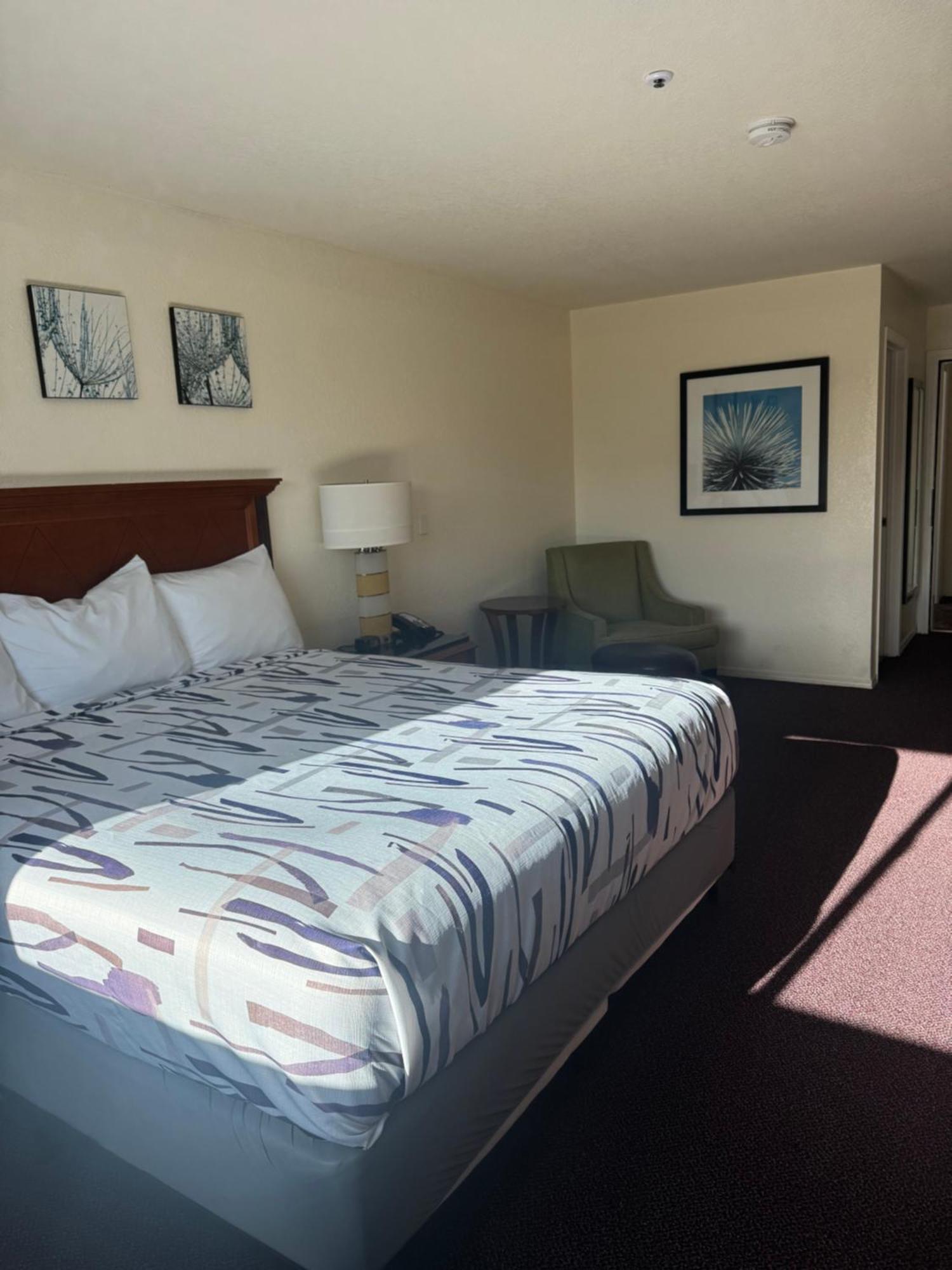 Superior King Room,1743409077:JPEG