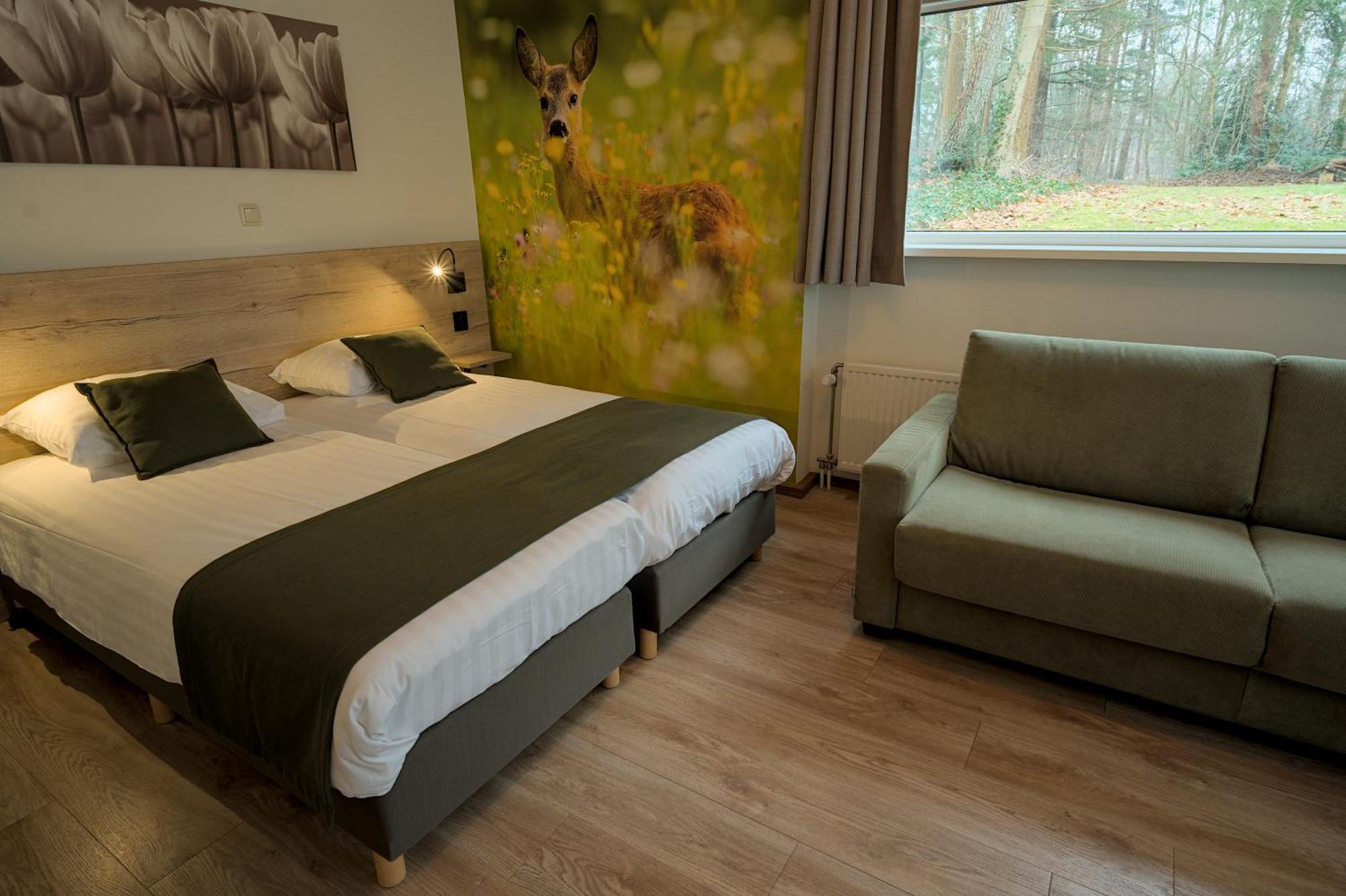 Comfort Twin Room Terrace
