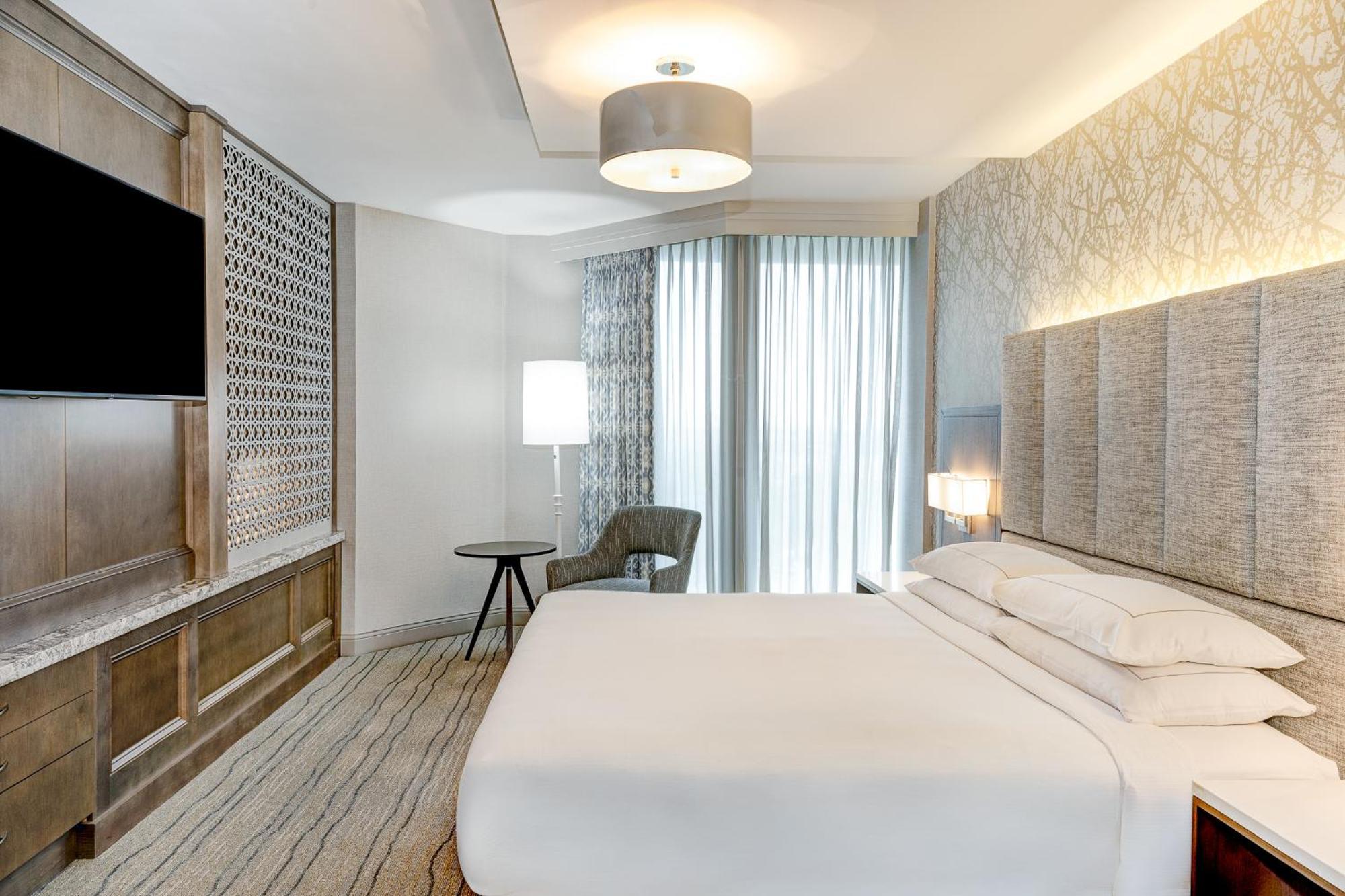 Premium King Suite Sofa Bed Seating Area