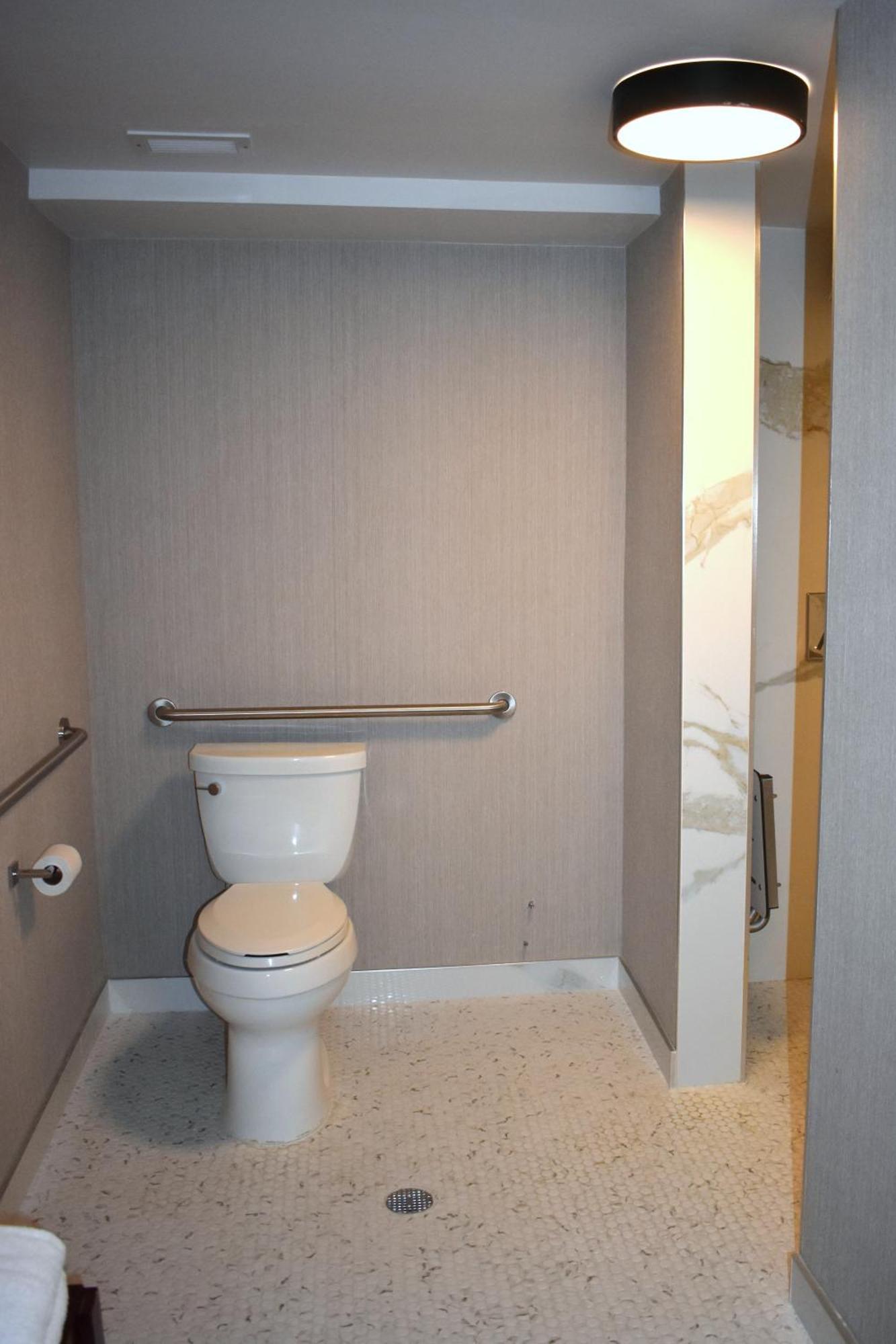 King Room Roll Shower Mobility Hearing Accessible