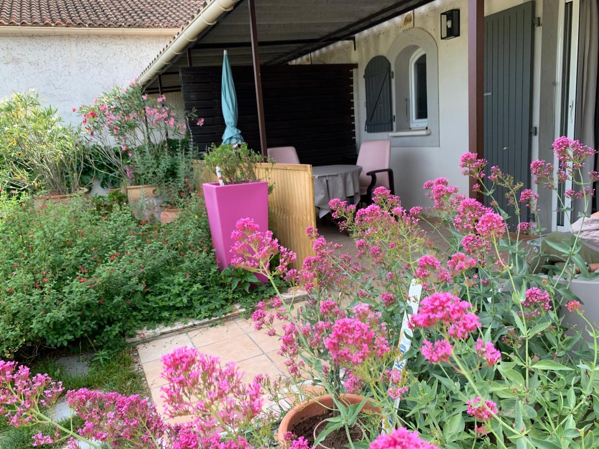 Studio Terrace