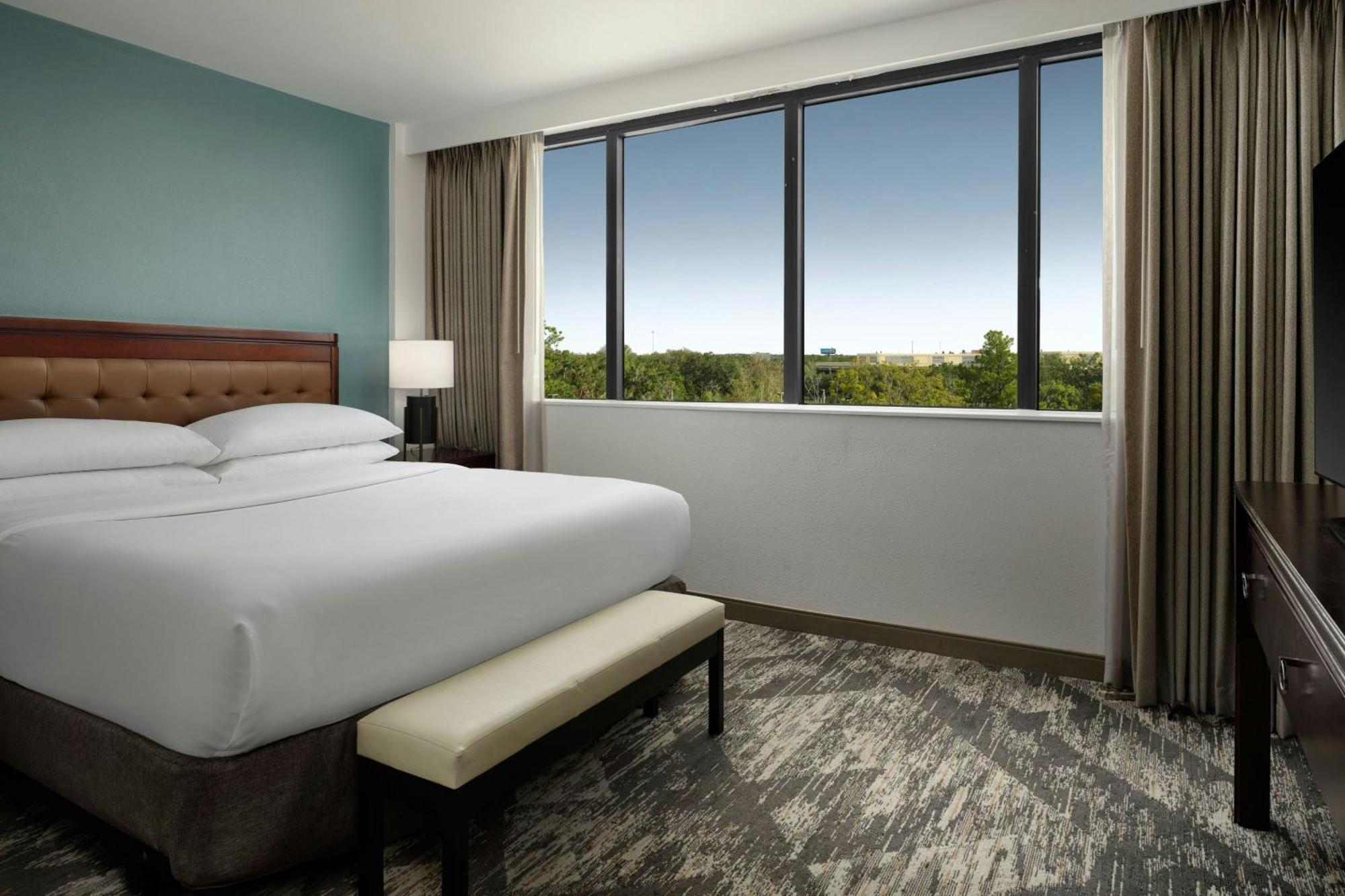 Club level Suite 1 King Sofa bed Central