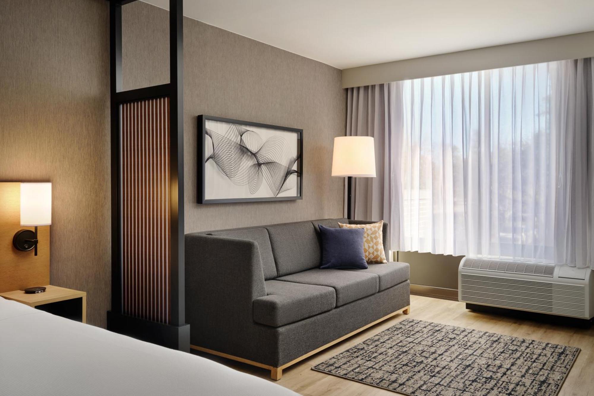 King Room Sofa Bed