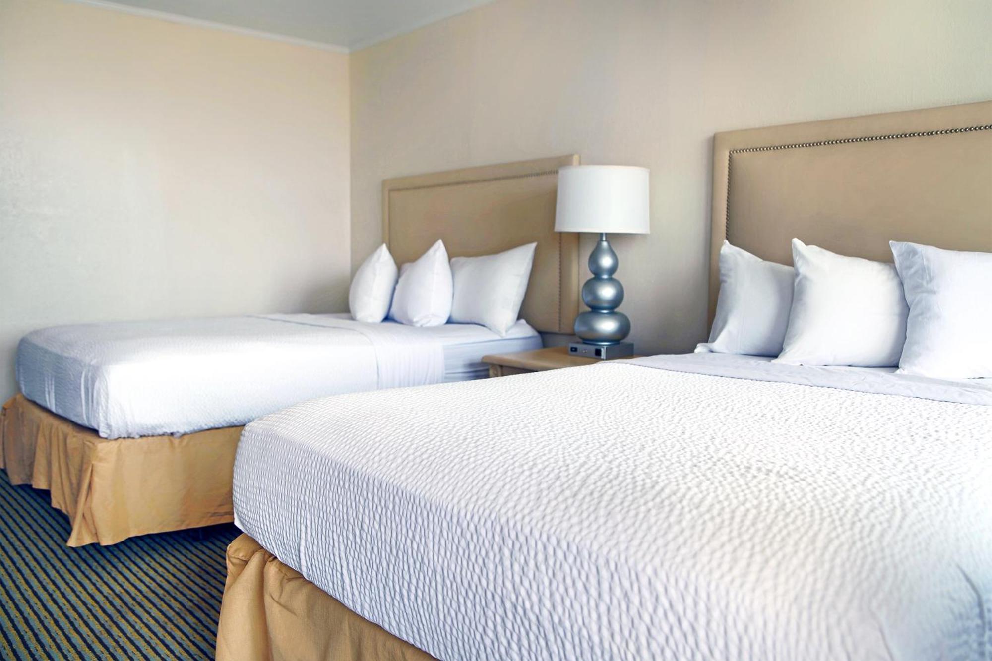 Pool view Room-2 double beds