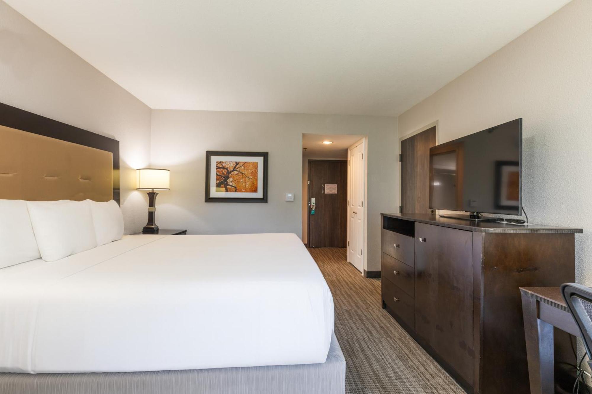 King Room Roll Shower Disability Access or Non Smoking