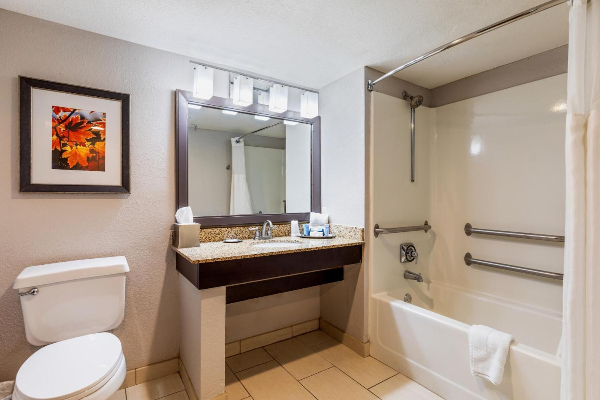King Room Tub Disability Access or Non Smoking