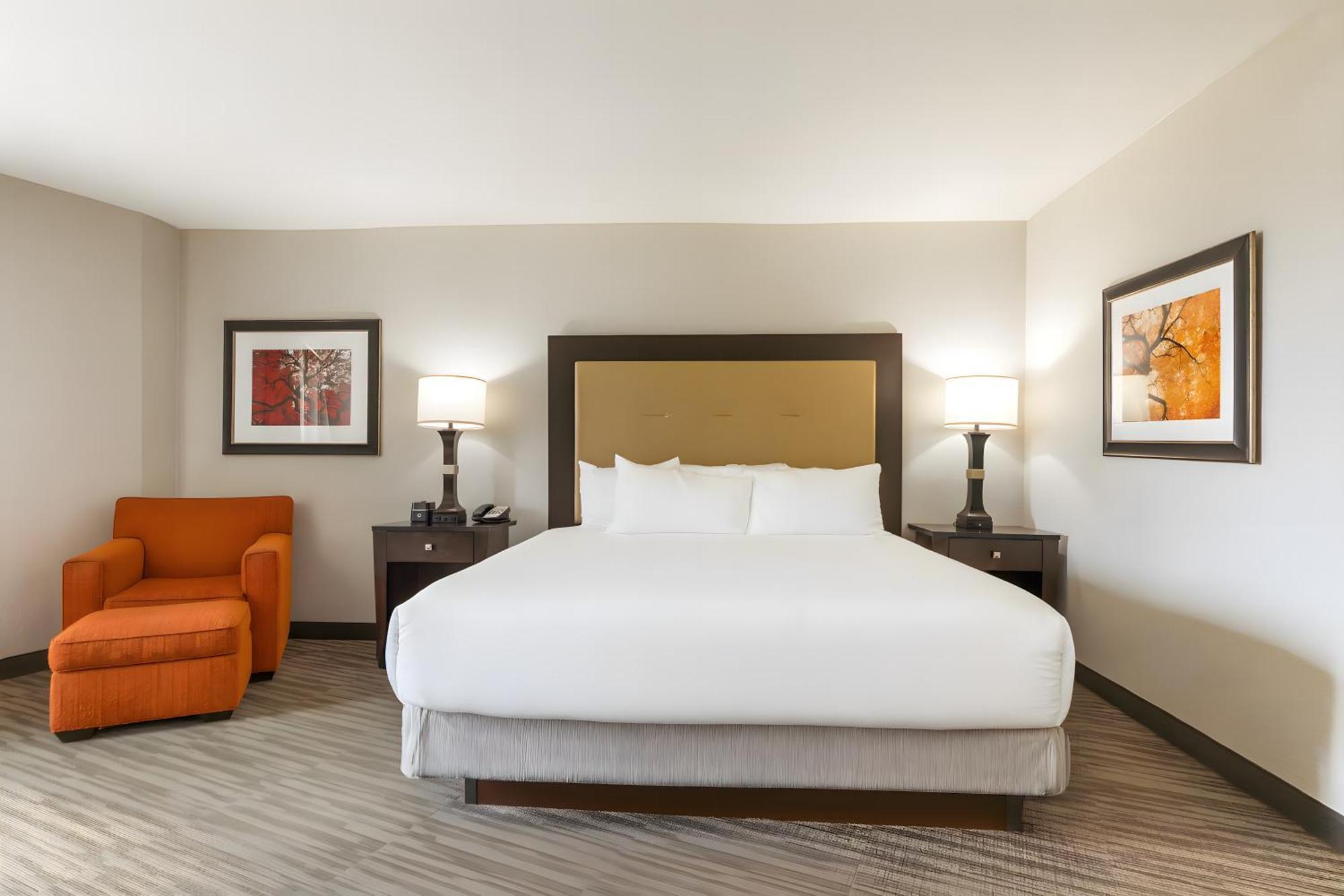 King Room