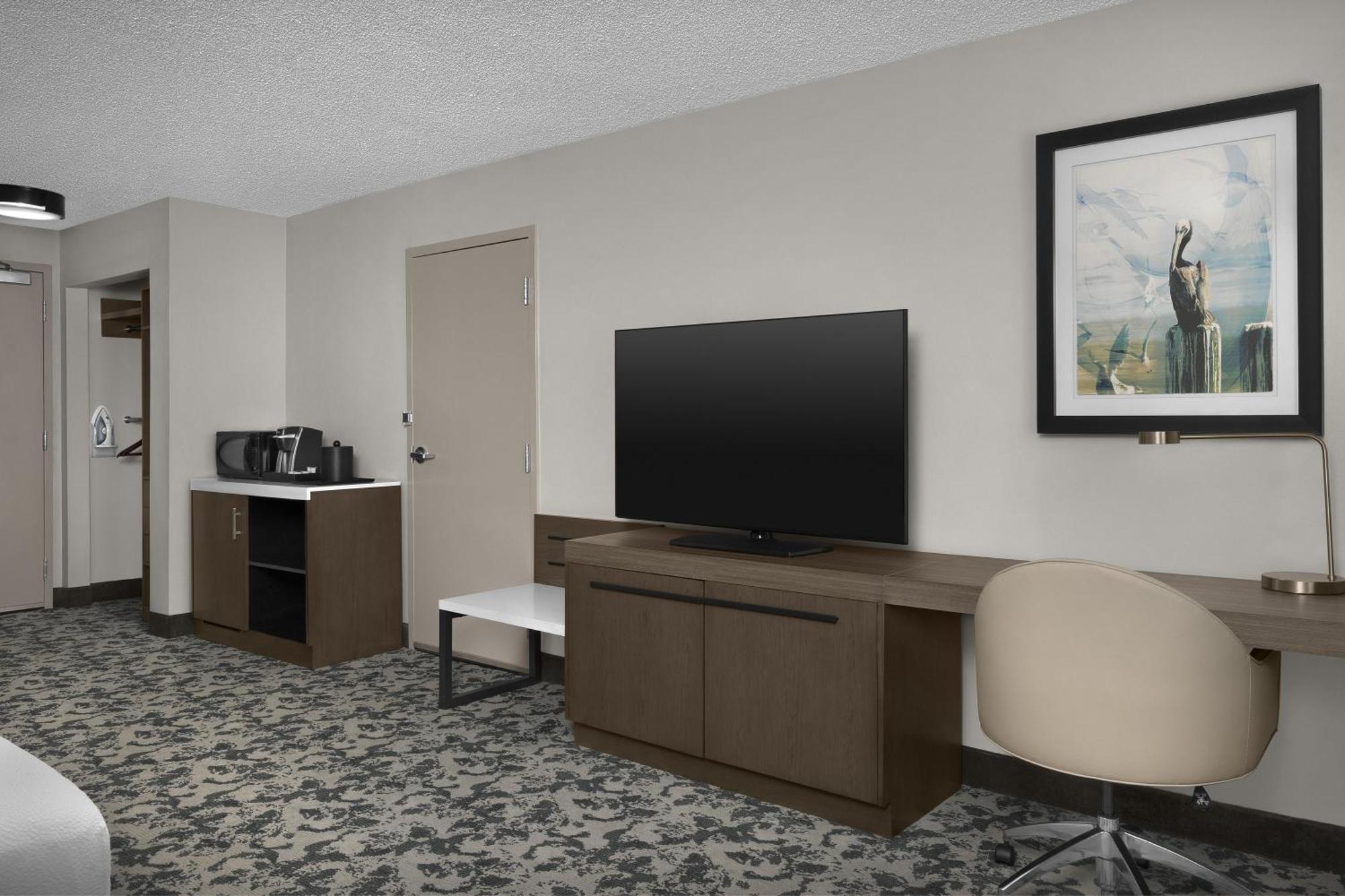 King Room Bath Tub Mobility Accessible