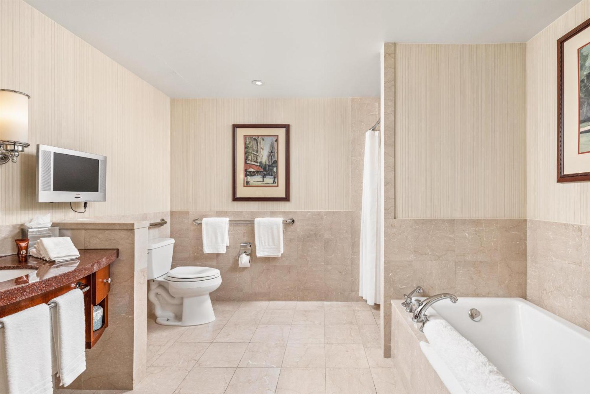 Deluxe King Room Transfer Shower Mobility Access