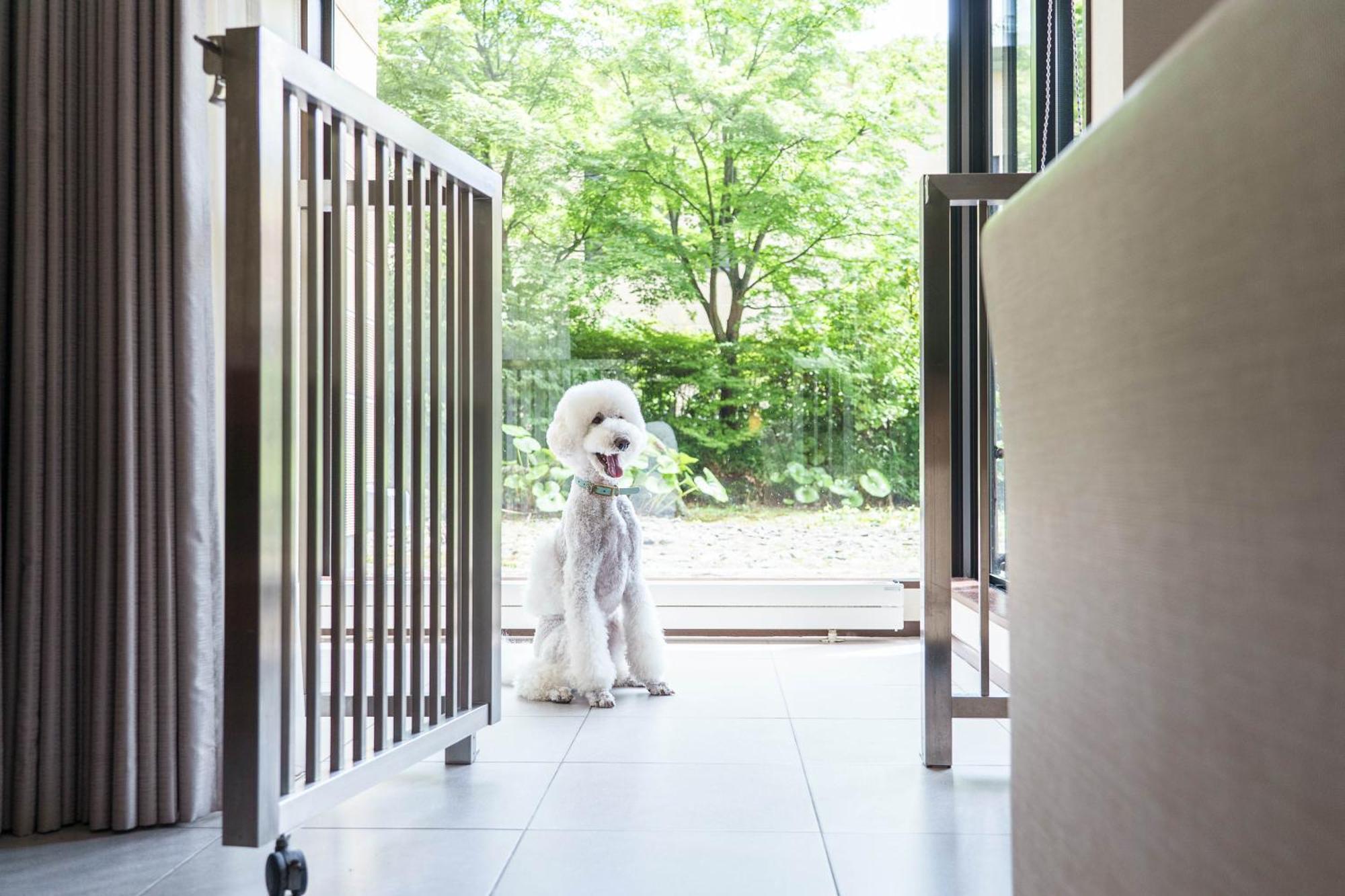 Deluxe Twin Room Dog Friendly