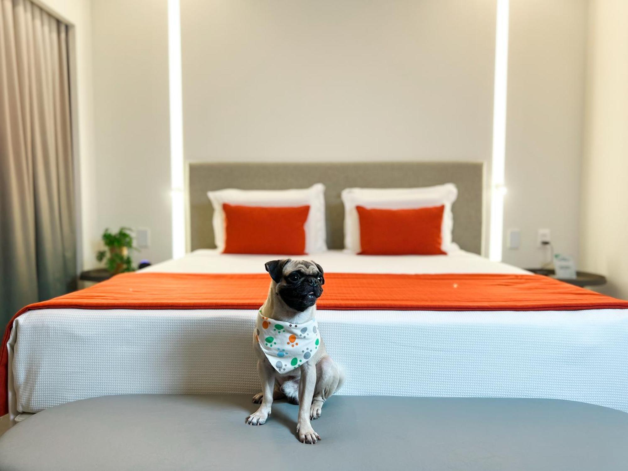 Garden Suite,1758633236:JPEG