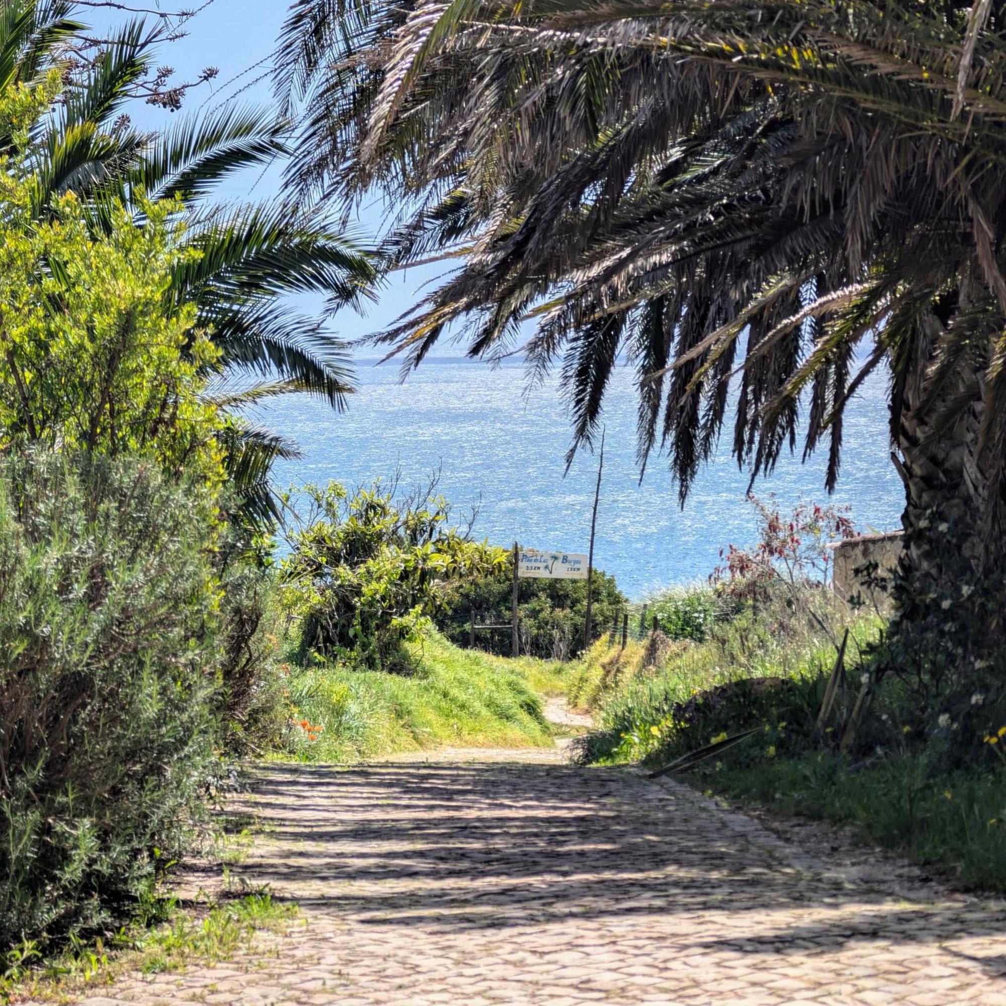 Apartment Sea View