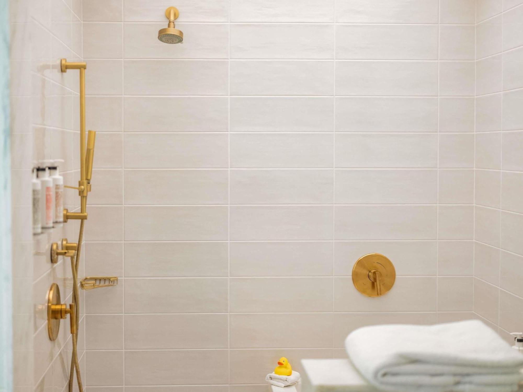 Luxury Queen Room Roll Shower Accessible