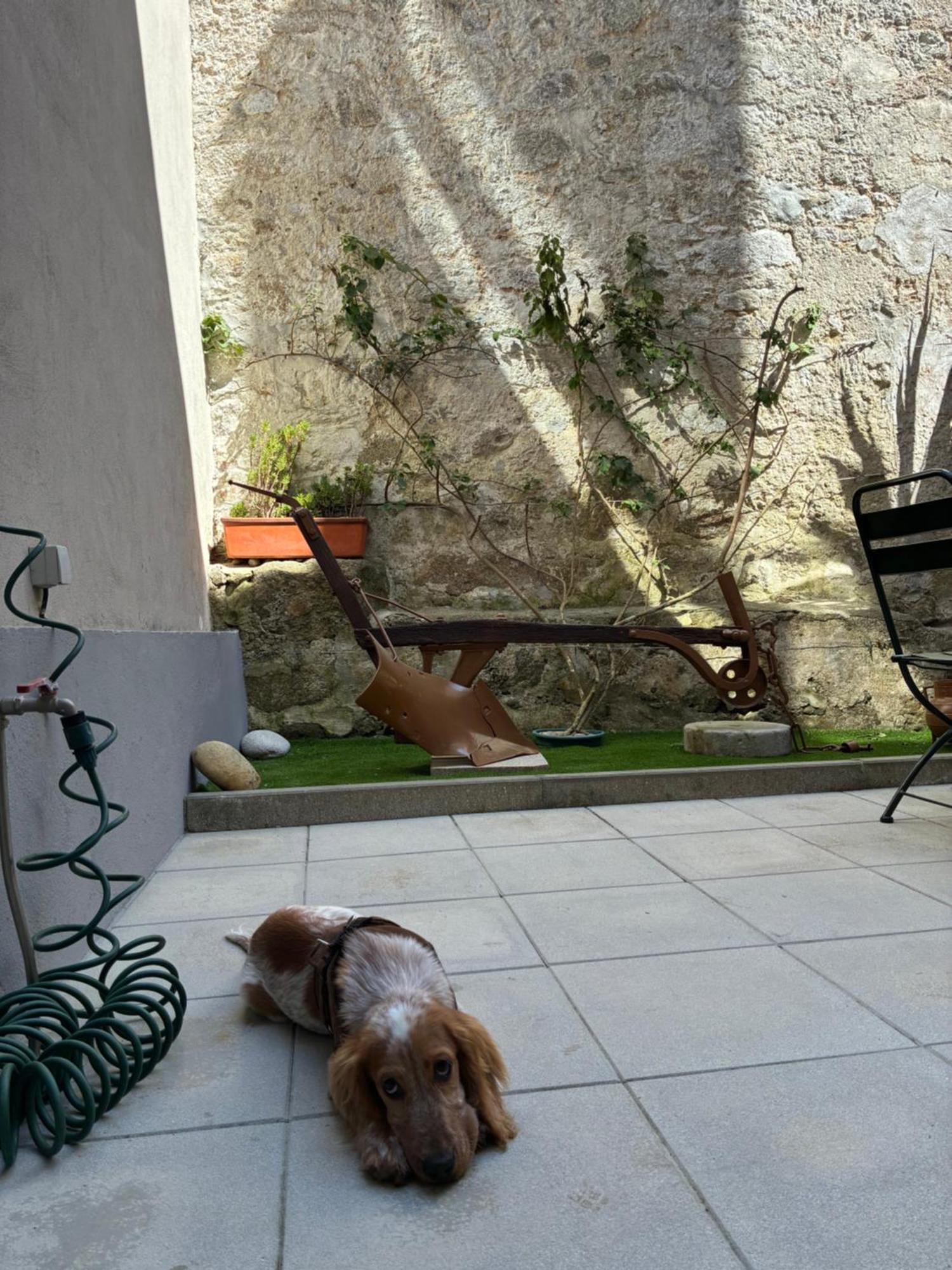 Apartment Terrace