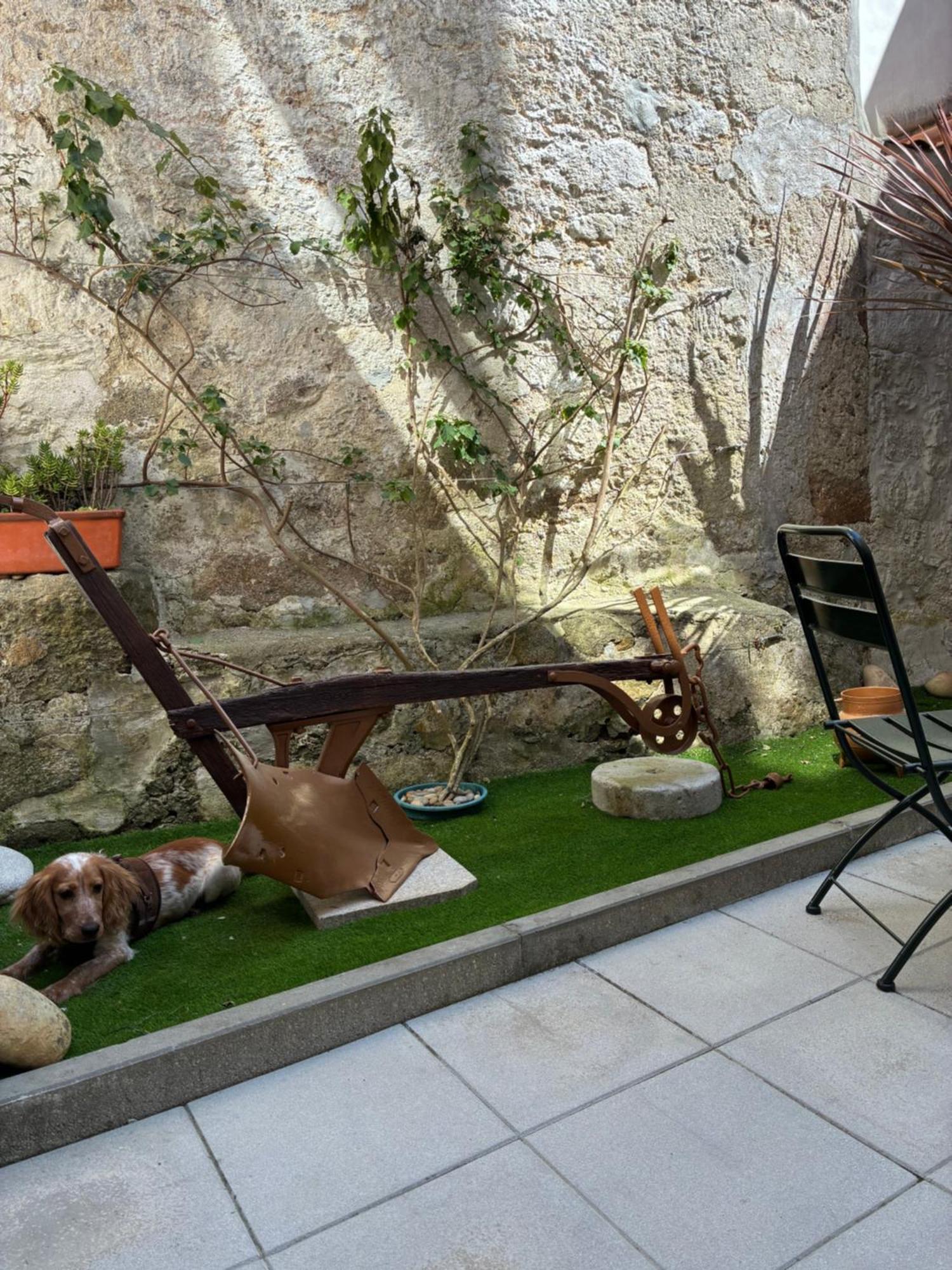Apartment Terrace