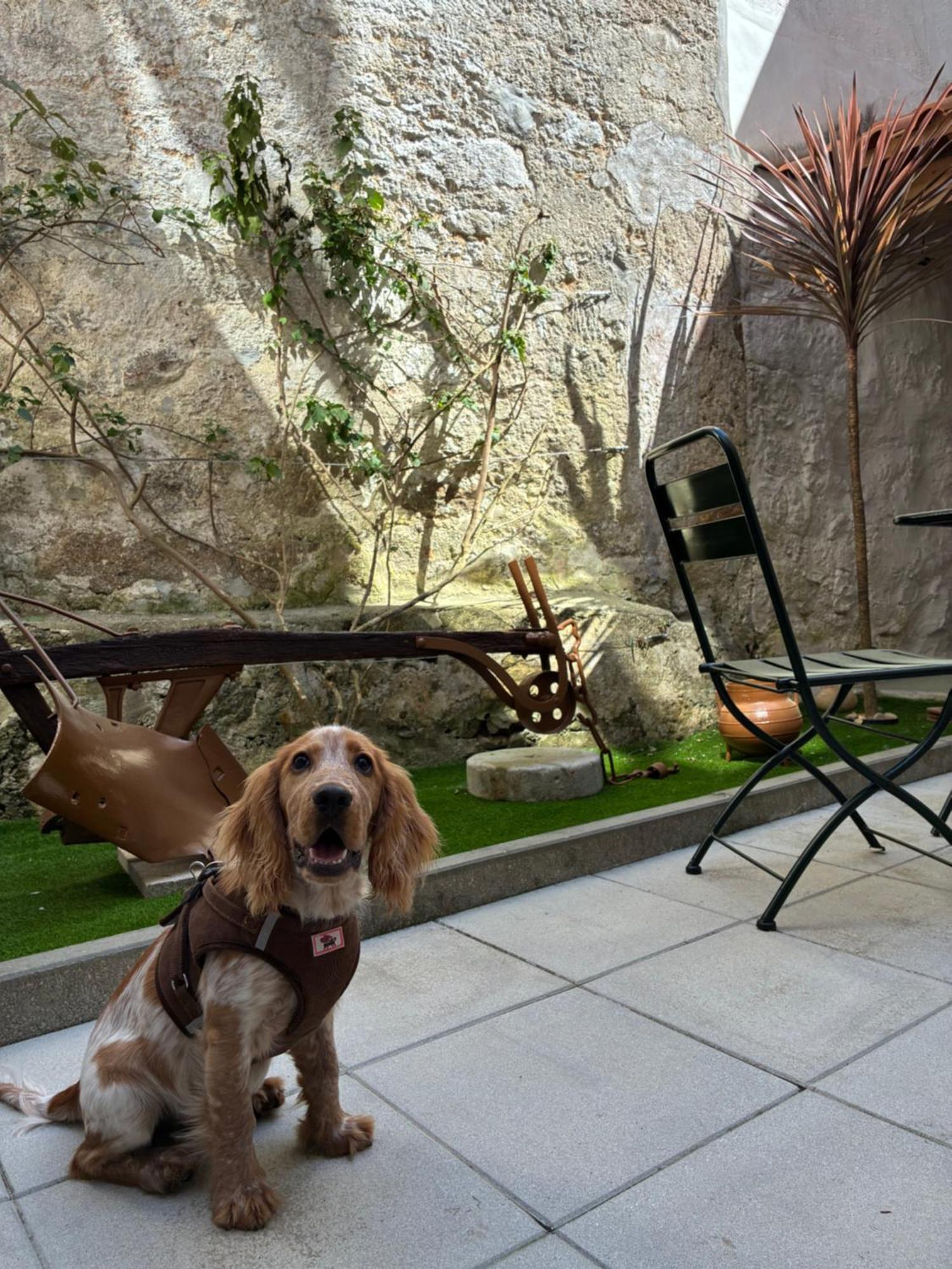 Apartment Terrace