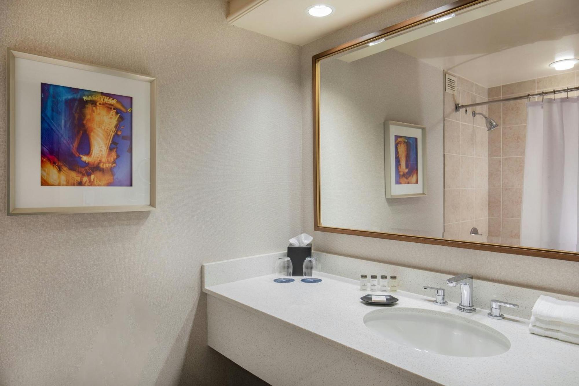 Traditional King Room Adapted Tub Mobility Accessible,1765578351:JPEG