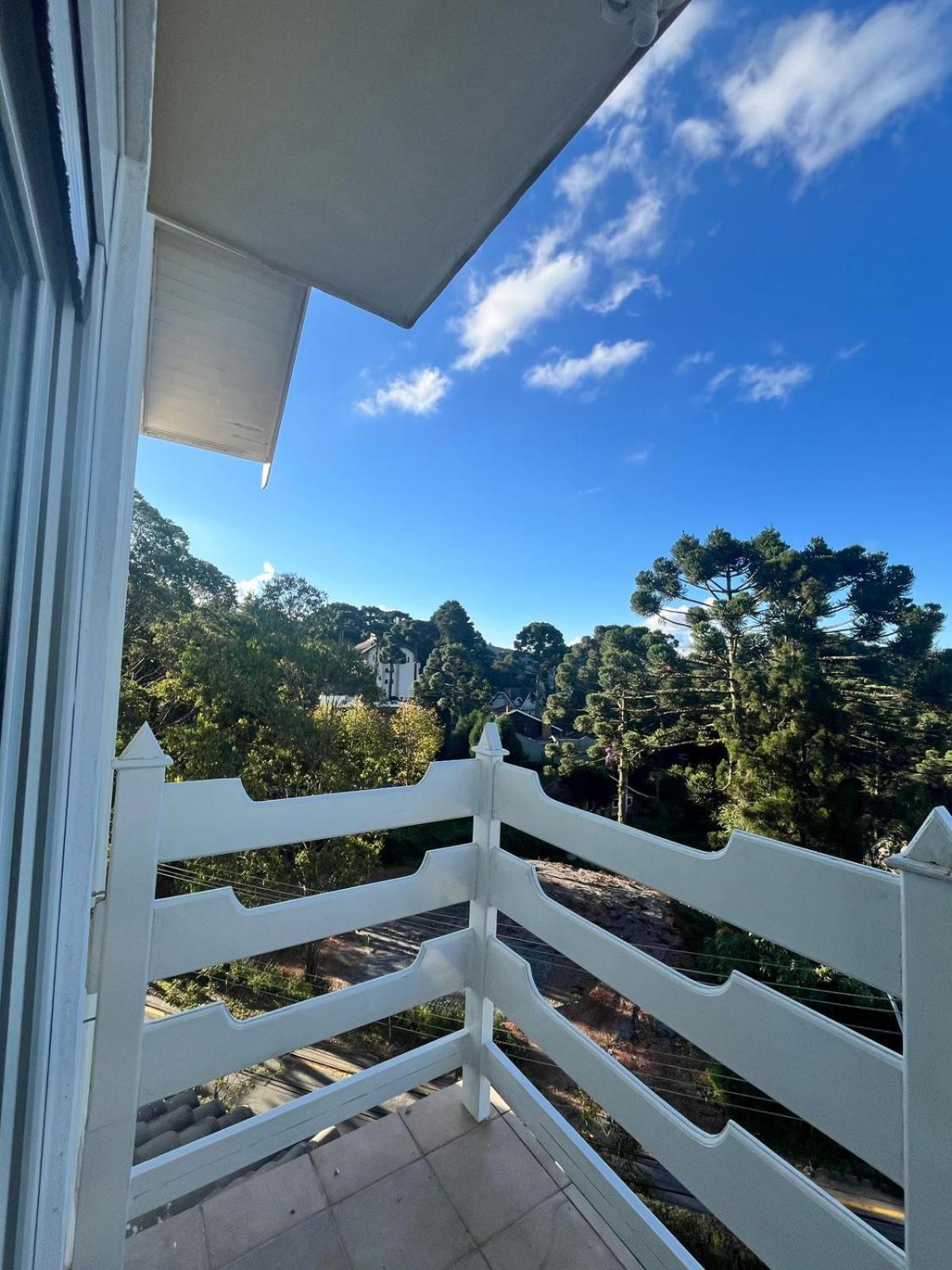 King Room Mountain View