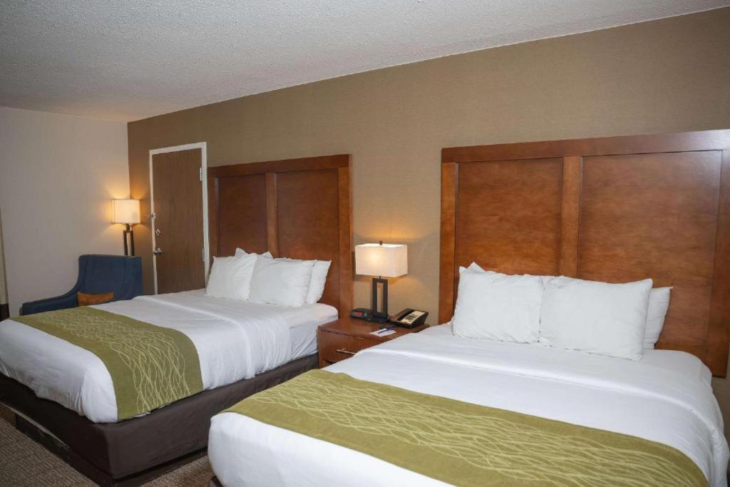 Quadruple Room One King Room One Queen Room Accessible or Non-Smoking