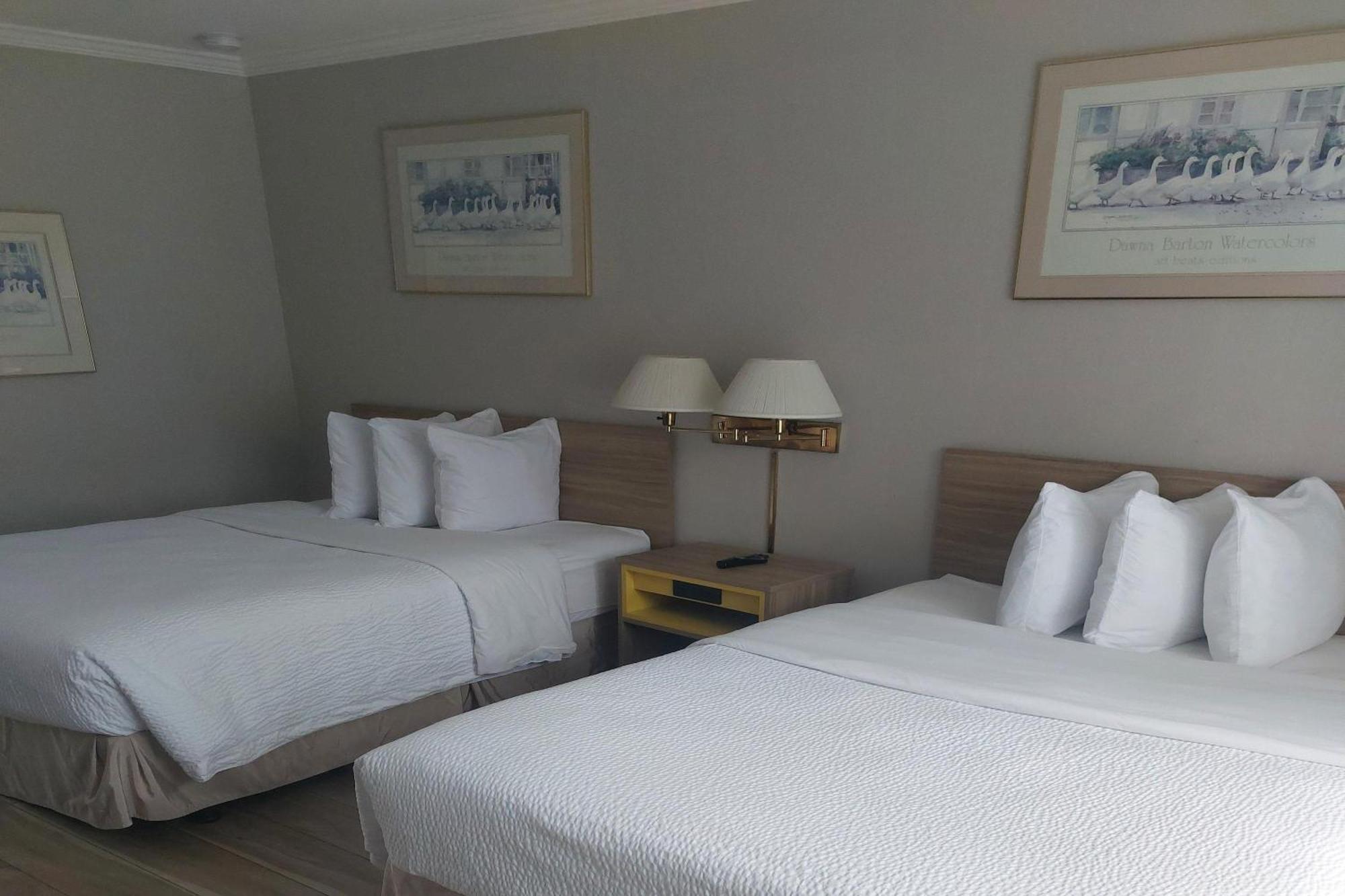 Queen Room with Two Queen Beds - Non-Smoking