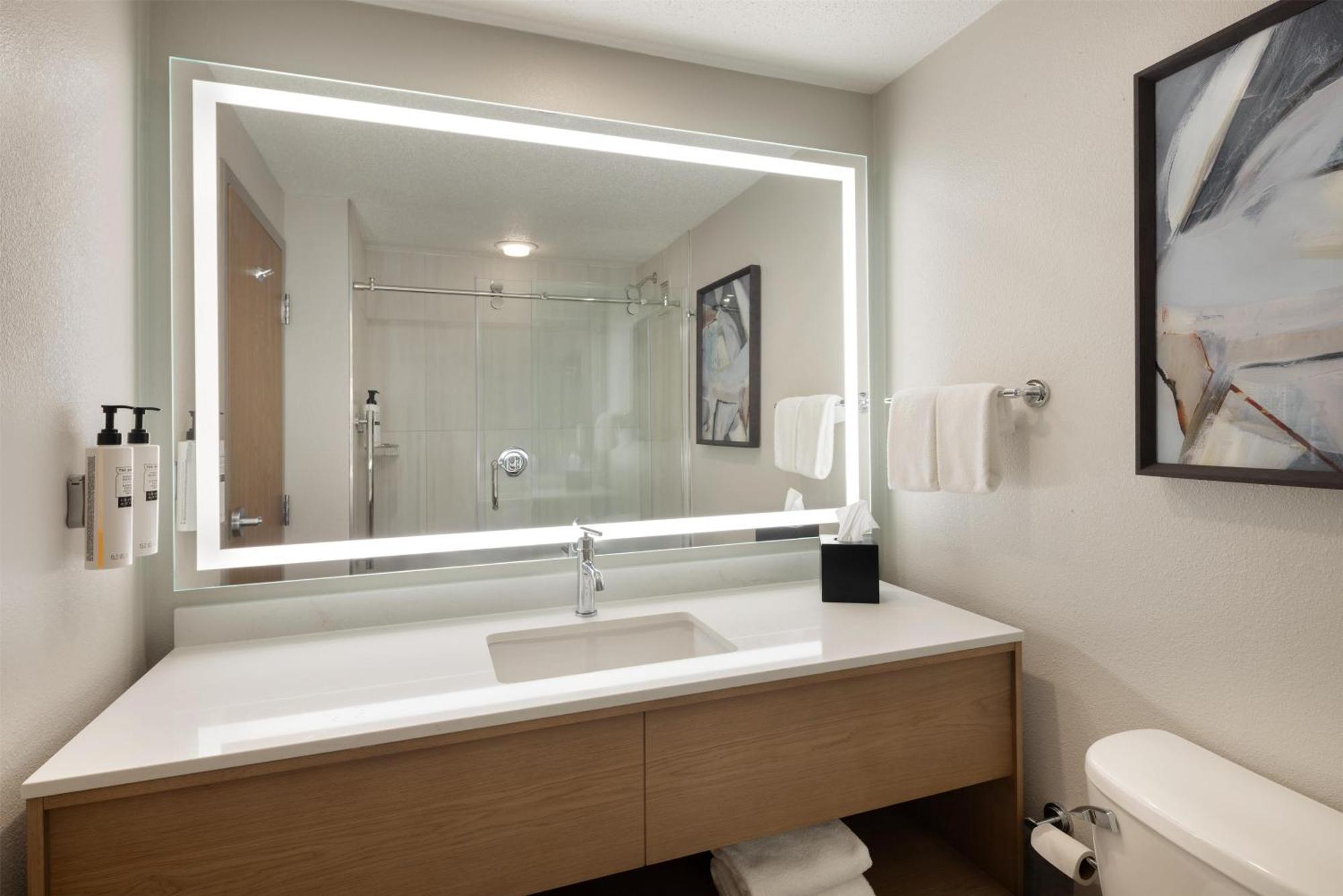 Two-Room King Suite Non-Smoking
