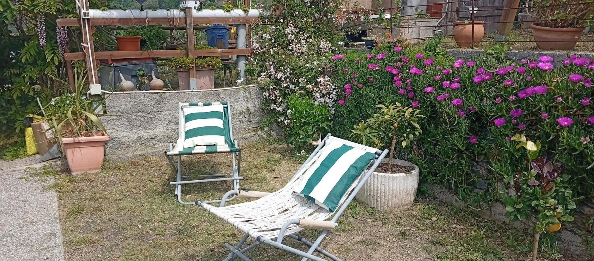 Family Double Room